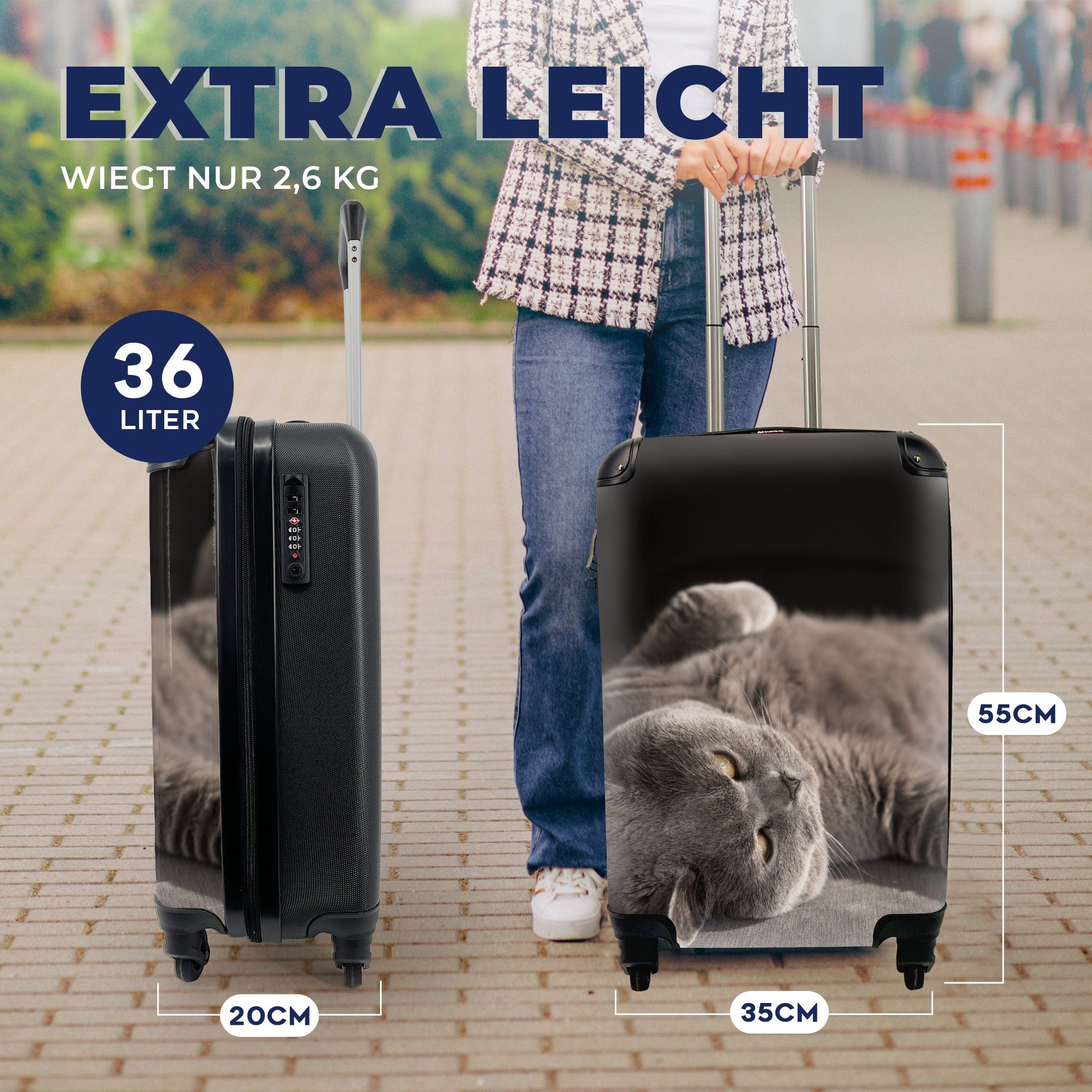 MuchoWow Handgepäckkoffer Tier - Katze Rollen, - 4 Reisekoffer Ferien, mit Reisetasche Grau, rollen, Trolley, Handgepäck für
