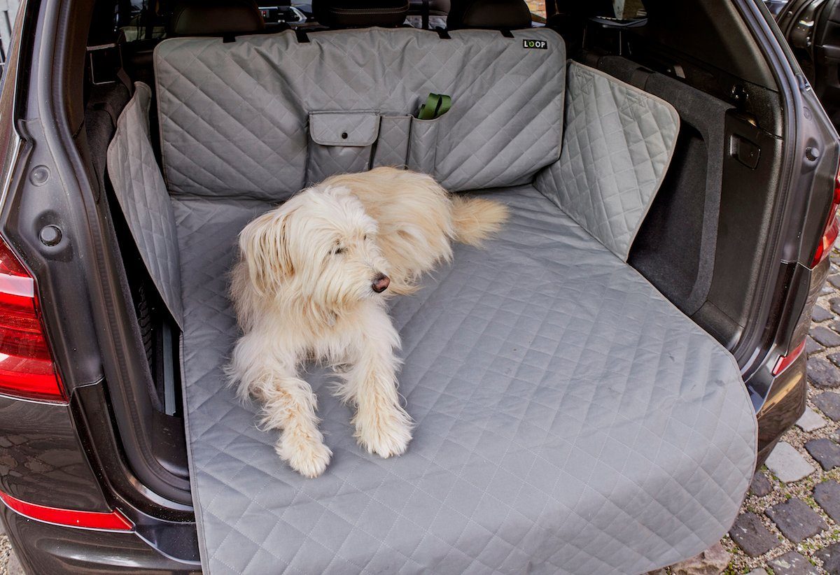 LOOPdogs Tier-Kofferraumdecke ICH BIN DABEI - Hundeschutz-Matte für den Kofferraum