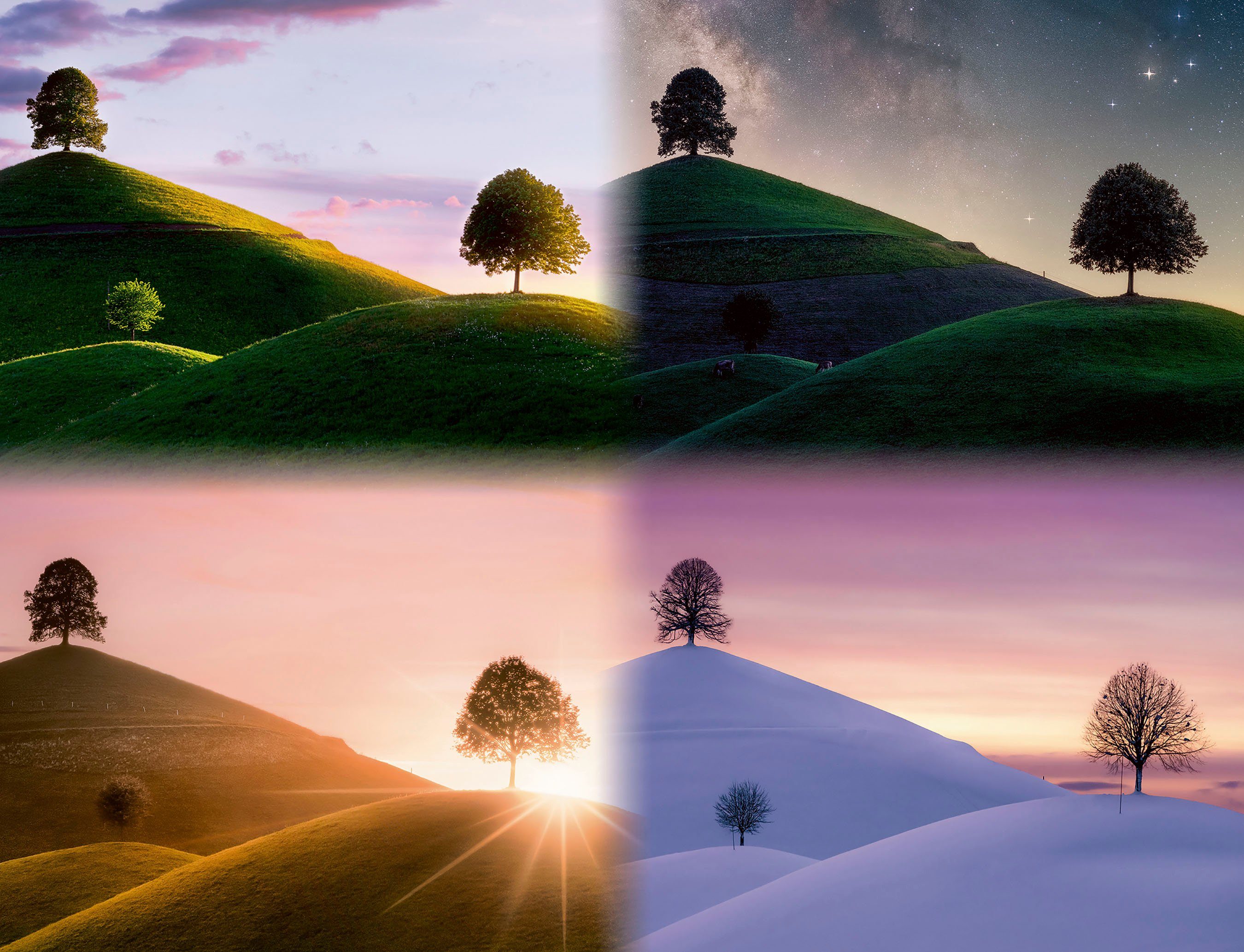 Ravensburger Puzzle Stimmungsvolle Bäume und Berge, 2000 Puzzleteile, Made günstig online kaufen