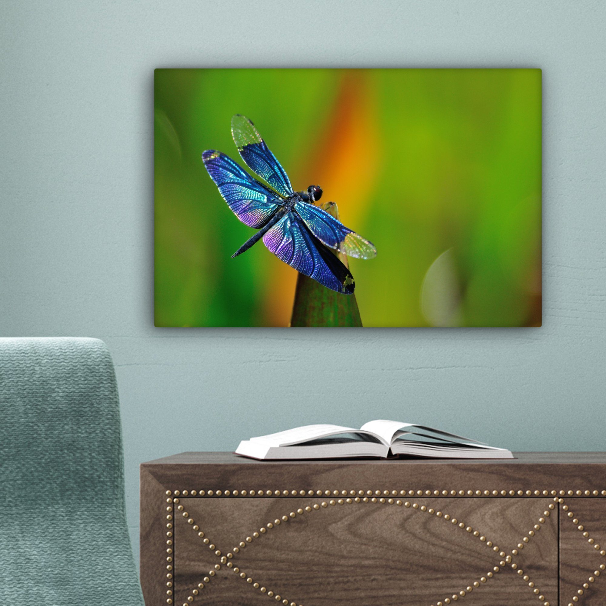 OneMillionCanvasses® Leinwandbild Eine cm (1 St), Aufhängefertig, Wandbild Libelle, 30x20 Wanddeko, blaue Leinwandbilder