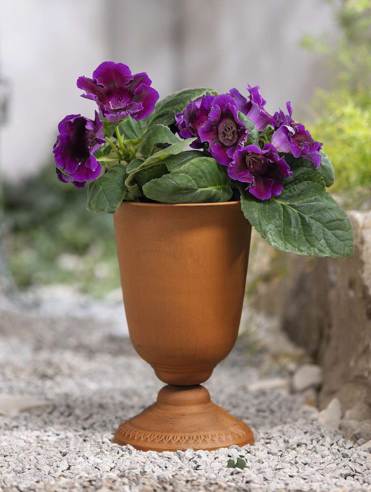 Dekoleidenschaft Pflanzkübel "Pokal" Metall, Rost-Optik, 33 cm hoch, Outdoor Blumentopf, Pflanztopf, Pflanzer für Draußen, Garten Amphore winterfest