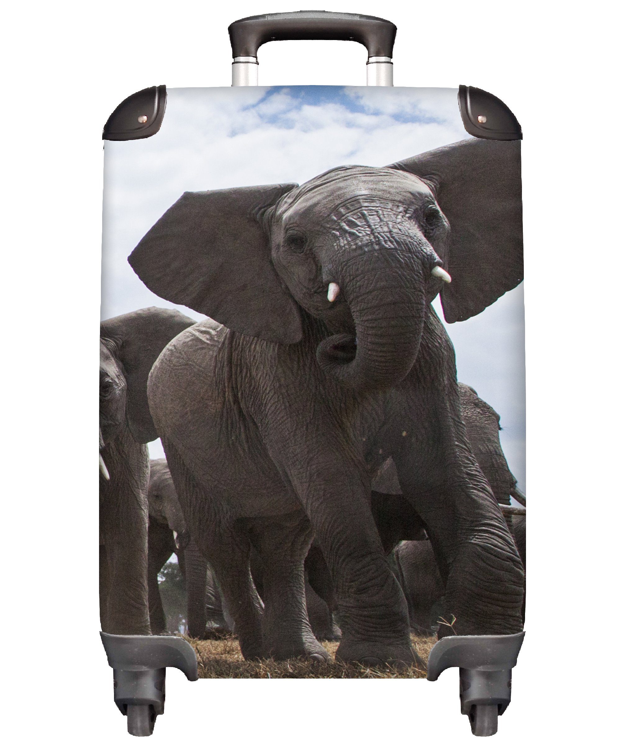 MuchoWow Handgepäckkoffer Elefant - Tiere - Natur - Flachland, 4 Rollen, Reisetasche mit rollen, Handgepäck für Ferien, Trolley, Reisekoffer