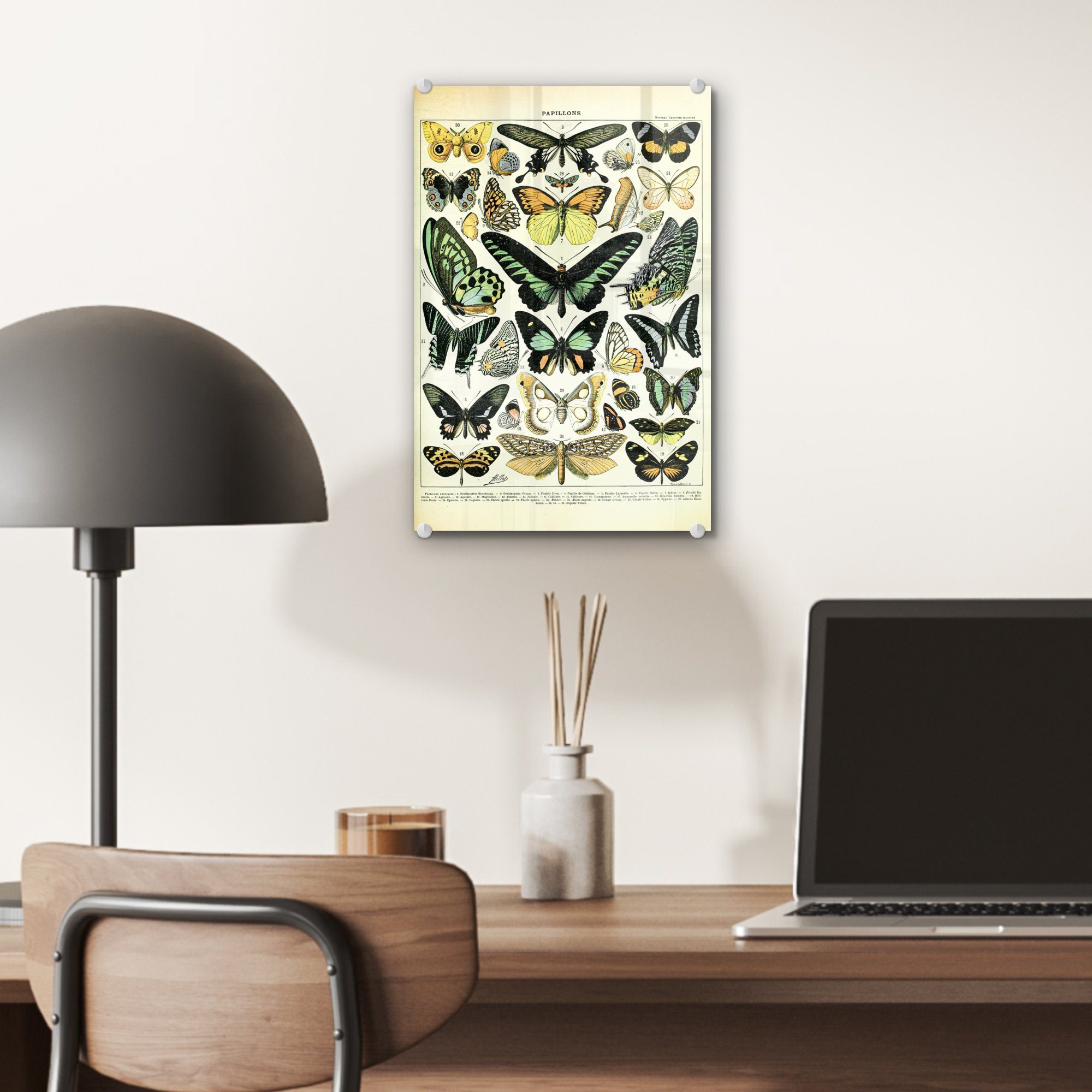 MuchoWow Acrylglasbild Tiere - Schmetterlinge Wanddekoration Glas Wandbild Bilder Glasbilder - - Glas - Foto Grün, (1 auf auf St), 