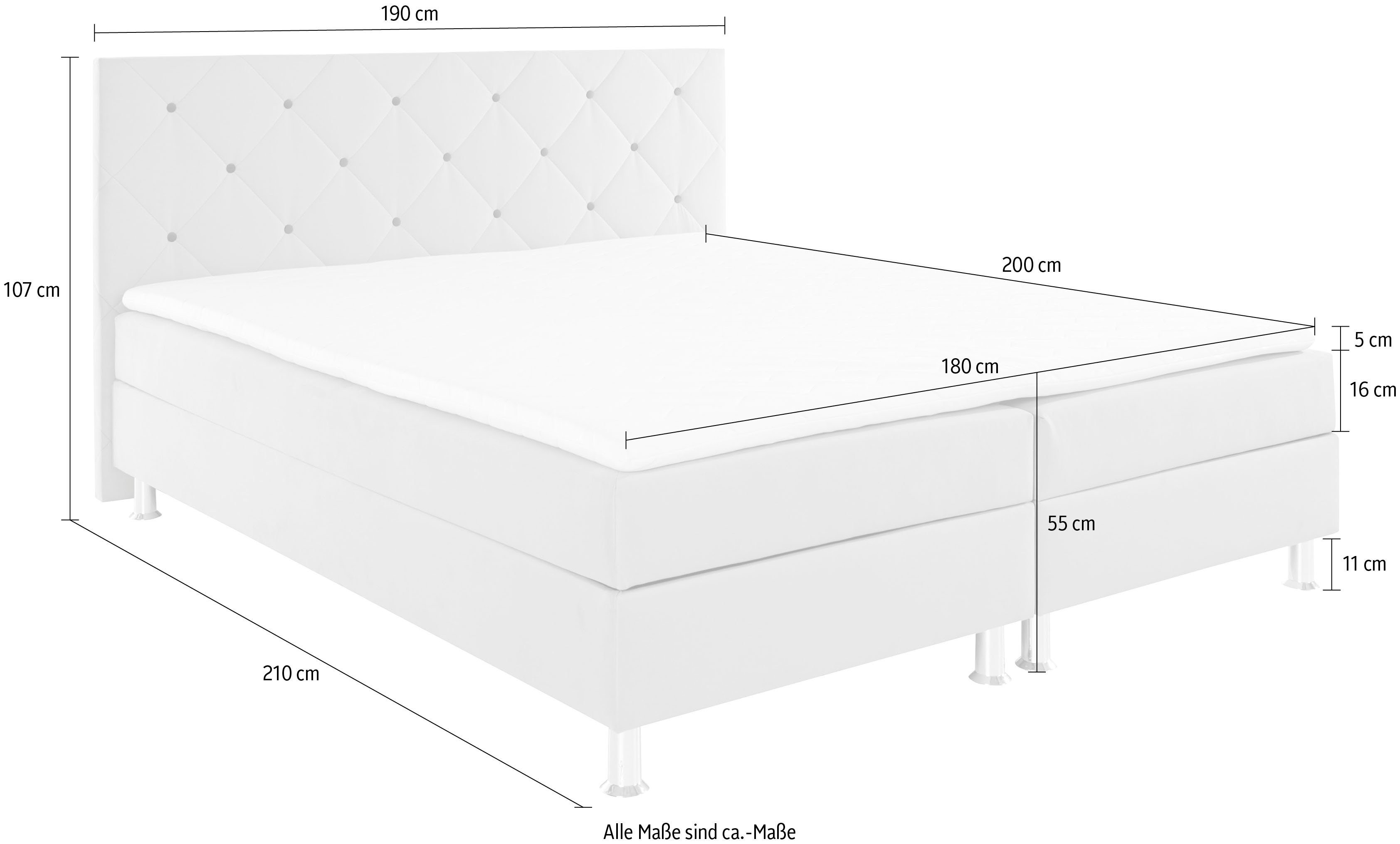 H2, Boxbett Bettkasten, mit H4 H3 olive in AB Sarina, | olive Inklusive Topper, dunkel wahlweise COLLECTION dunkel und