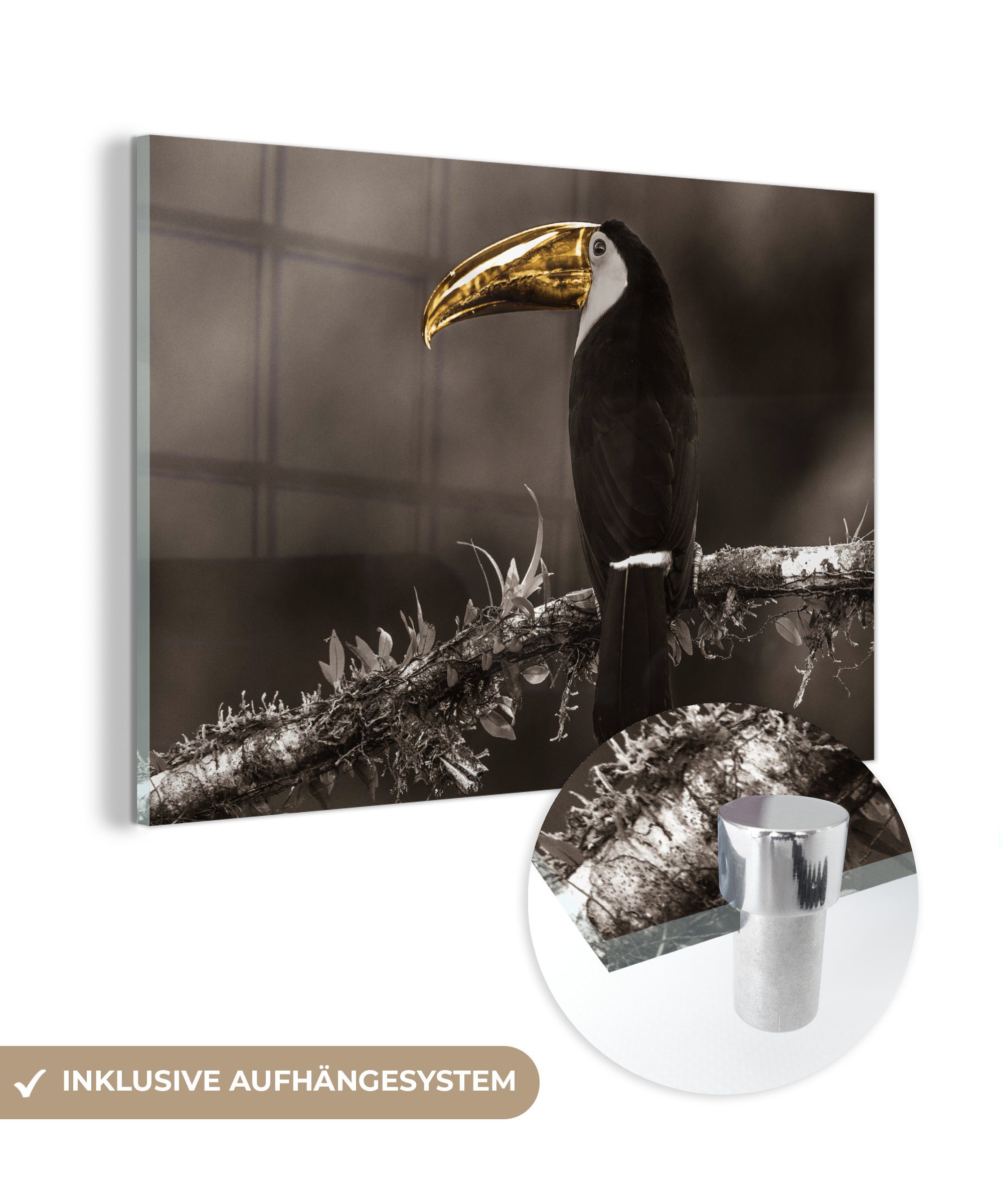 MuchoWow Acrylglasbild Vogel - Tukan - Gold - Schwarz, (1 St), Glasbilder - Bilder auf Glas Wandbild - Foto auf Glas - Wanddekoration