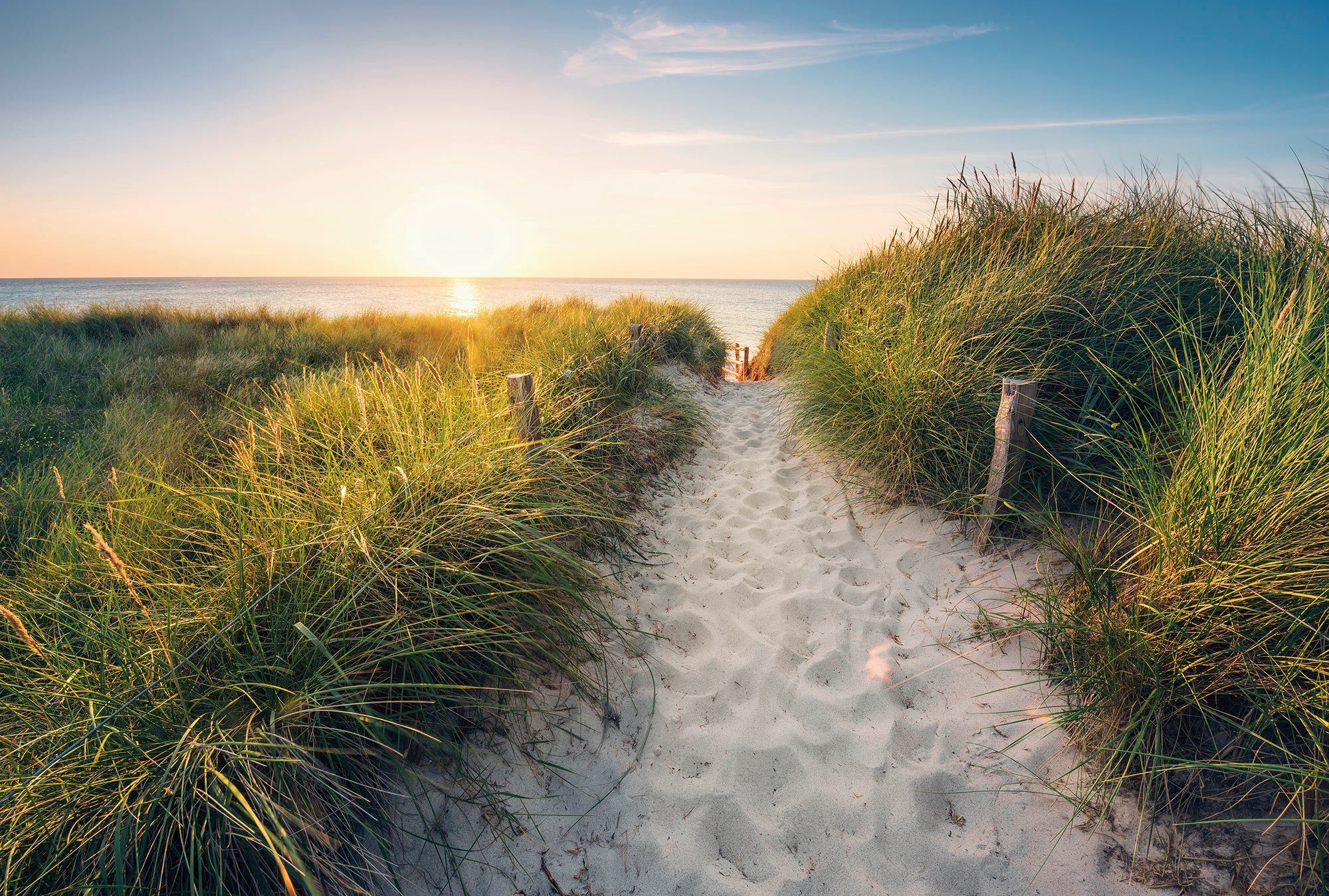 Komar Vliestapete Way to the Beach, (1 St), 368x248 cm (Breite x Höhe), inklusive Kleister | Vliestapeten