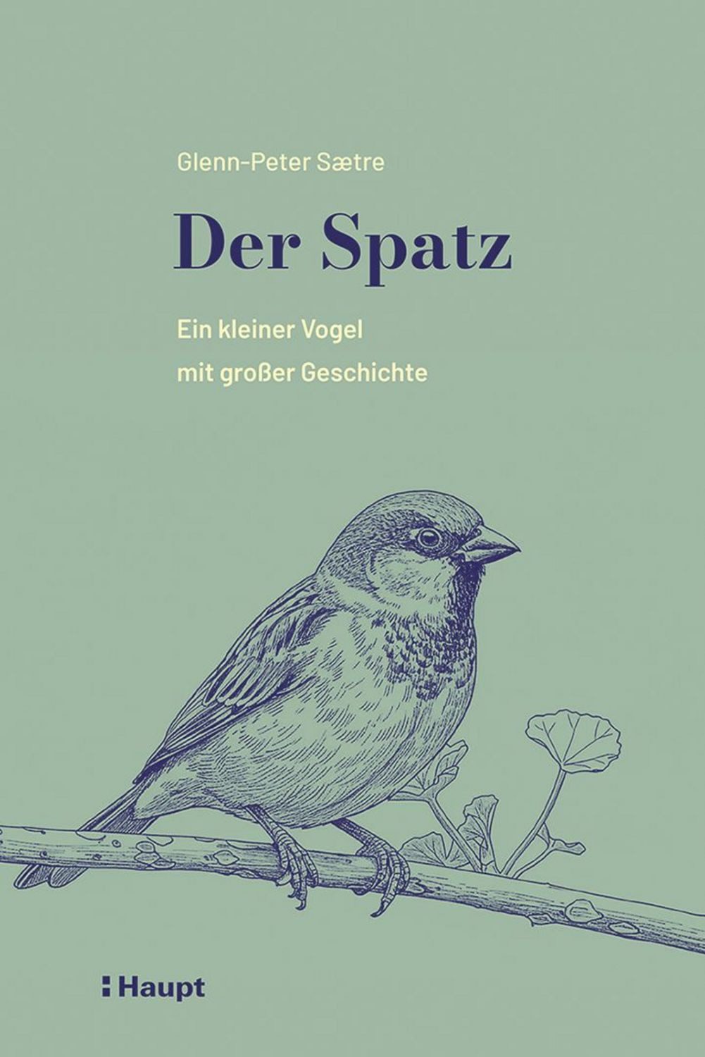 Der Spatz / Glenn-Peter Saetre