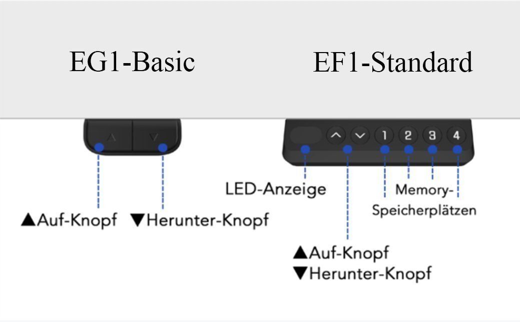 FLEXISPOT Schreibtisch EG1/EF1/EP1 (1-St) Blau