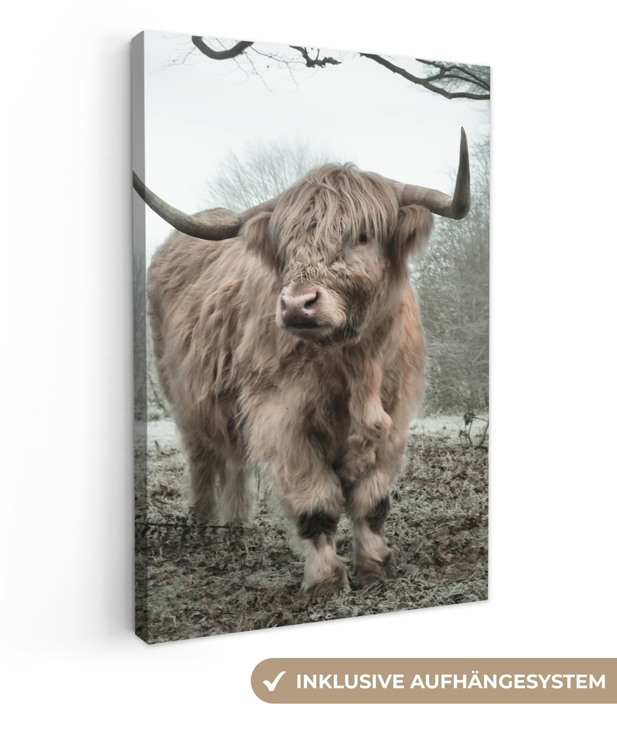 OneMillionCanvasses® Leinwandbild Schottische Highlander - Natur günstig online kaufen