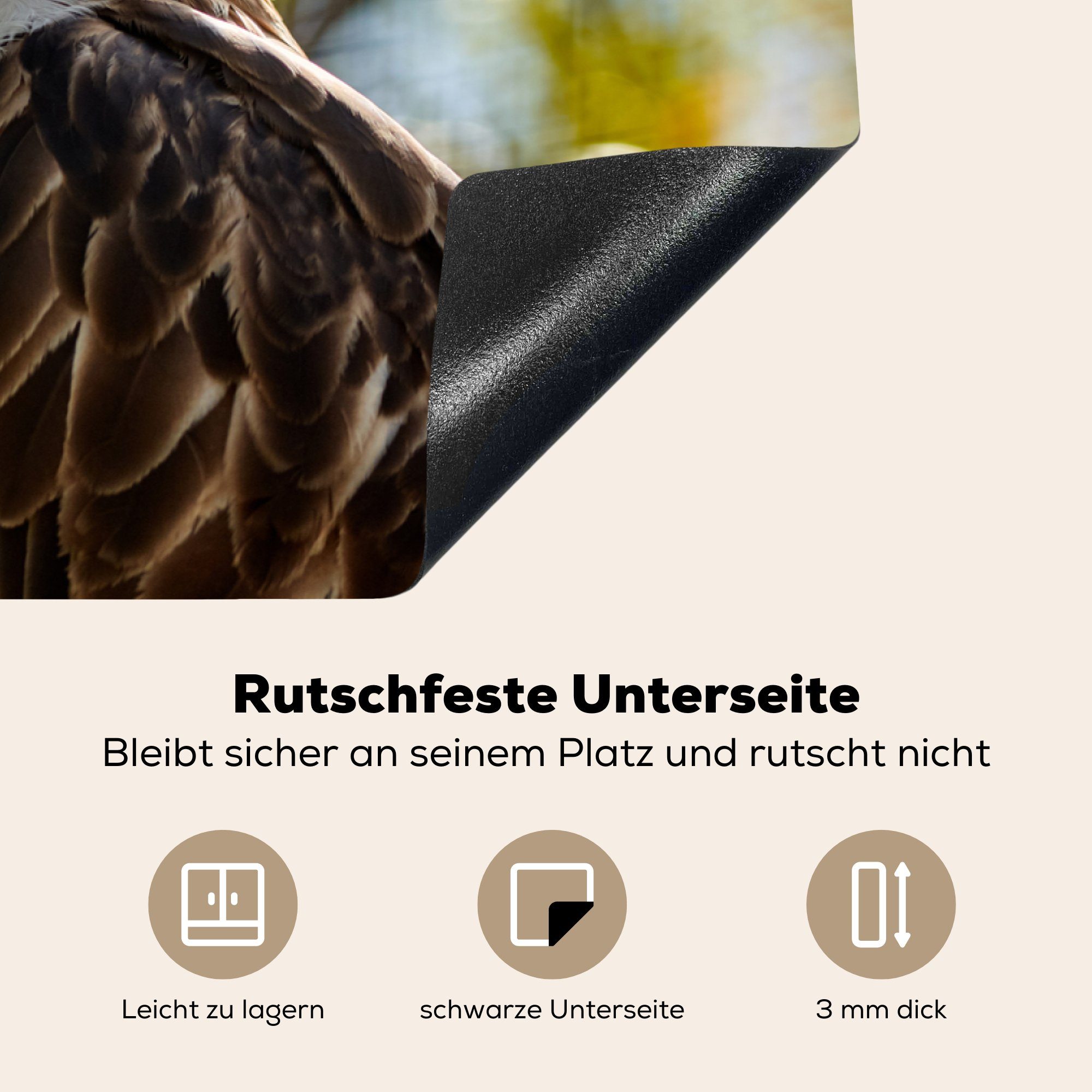 MuchoWow Herdblende-/Abdeckplatte Philippinischer Affenadler bei die 81x52 tlg), Sonnenaufgang, Vinyl, (1 für Induktionskochfeld Ceranfeldabdeckung küche, cm, Schutz