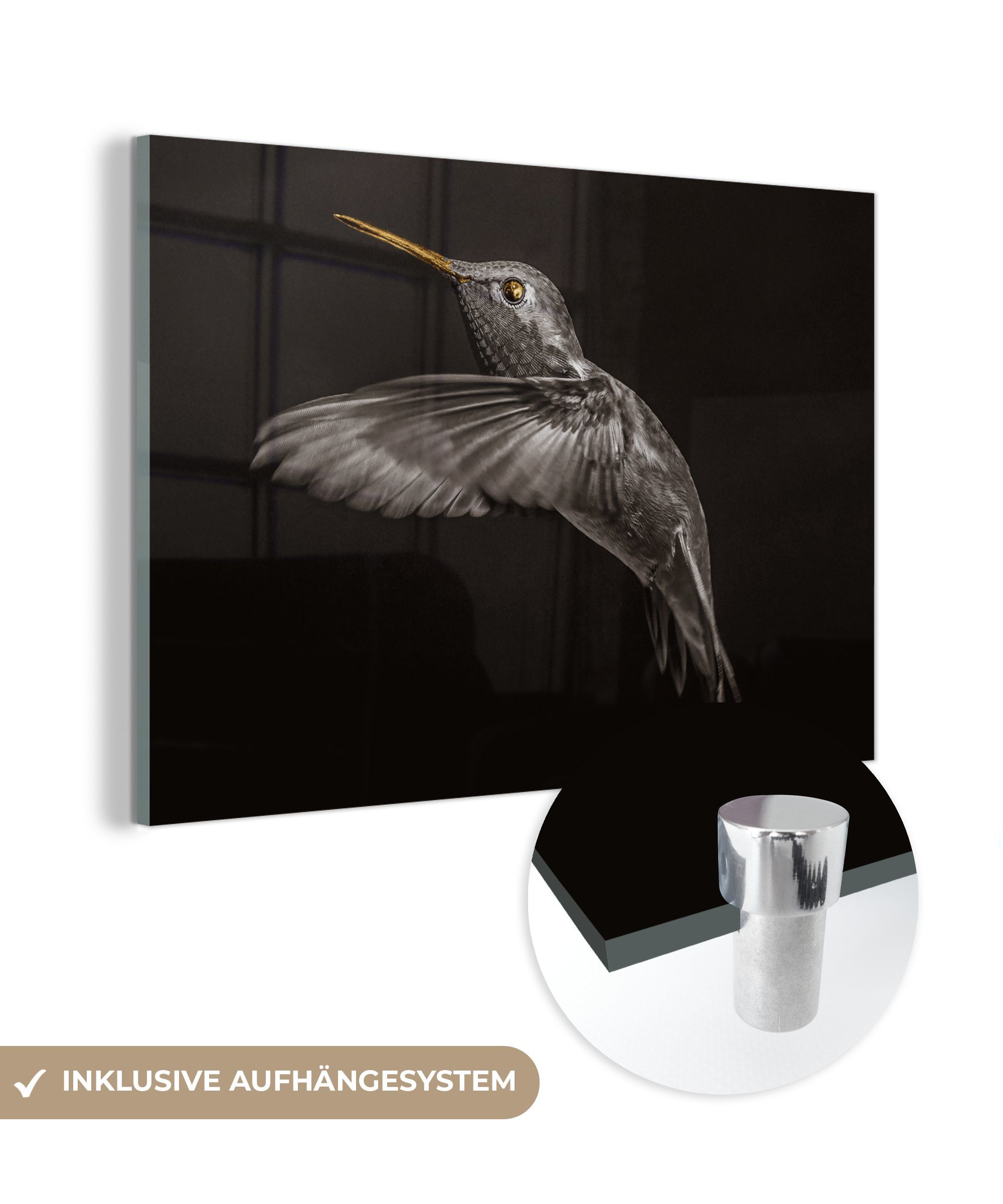 Acrylglasbild - Foto Gold, auf Schwarz MuchoWow und - Wandbild Glasbilder - Glas Glas St), - Wanddekoration (1 auf Bilder Vogel