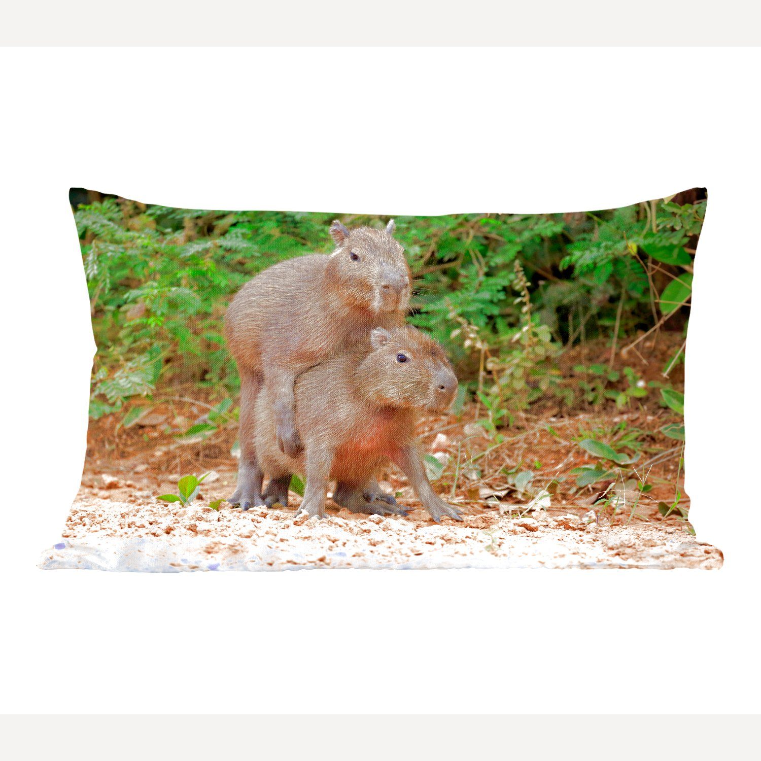 miteinander, Dekokissen spielen Zwei Zierkissen, mit Capybara-Junge Wohzimmer Dekokissen Füllung, Schlafzimmer MuchoWow Dekoration,