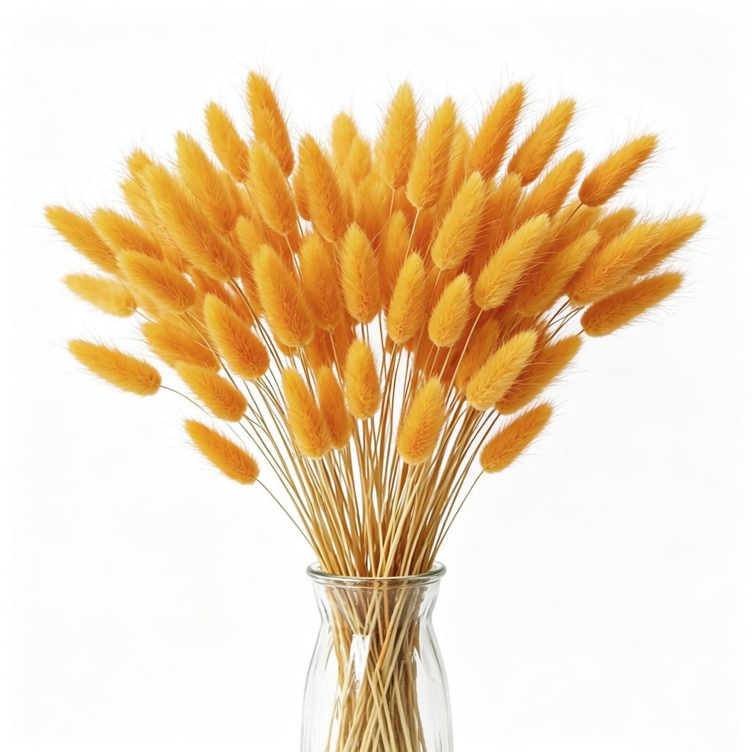Trockenblume Pampasgras Deko Orange 60St 45cm, LuxusKollektion, Höhe 1 cm