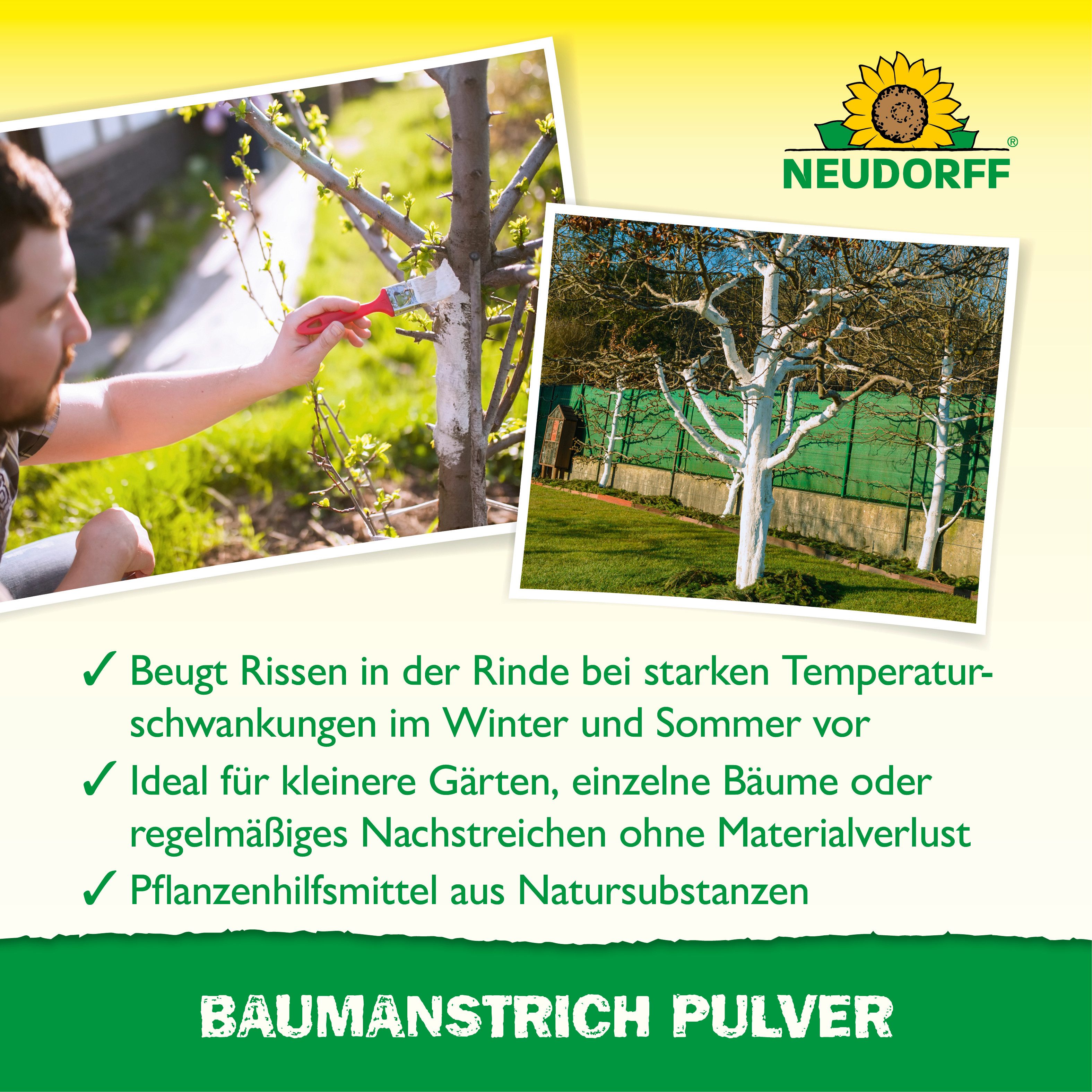 Neudorff Baumanstrich Pulver, 1 St., Weißanstrich für Obst- und Ziergehölze – reicht für bis zu 12 Bäume, Schützt Baumstämme vor Frostrissen und Sonnenbrand, Mineralischer Weißanstrich zum Schutz vor Frostrissen und Sonnenbrand
