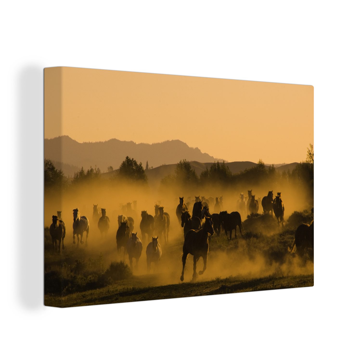 OneMillionCanvasses® Leinwandbild Pferde - Nebel - Orange, (1 St), Wandbild Leinwandbilder, Aufhängefertig, Wanddeko, 30x20 cm