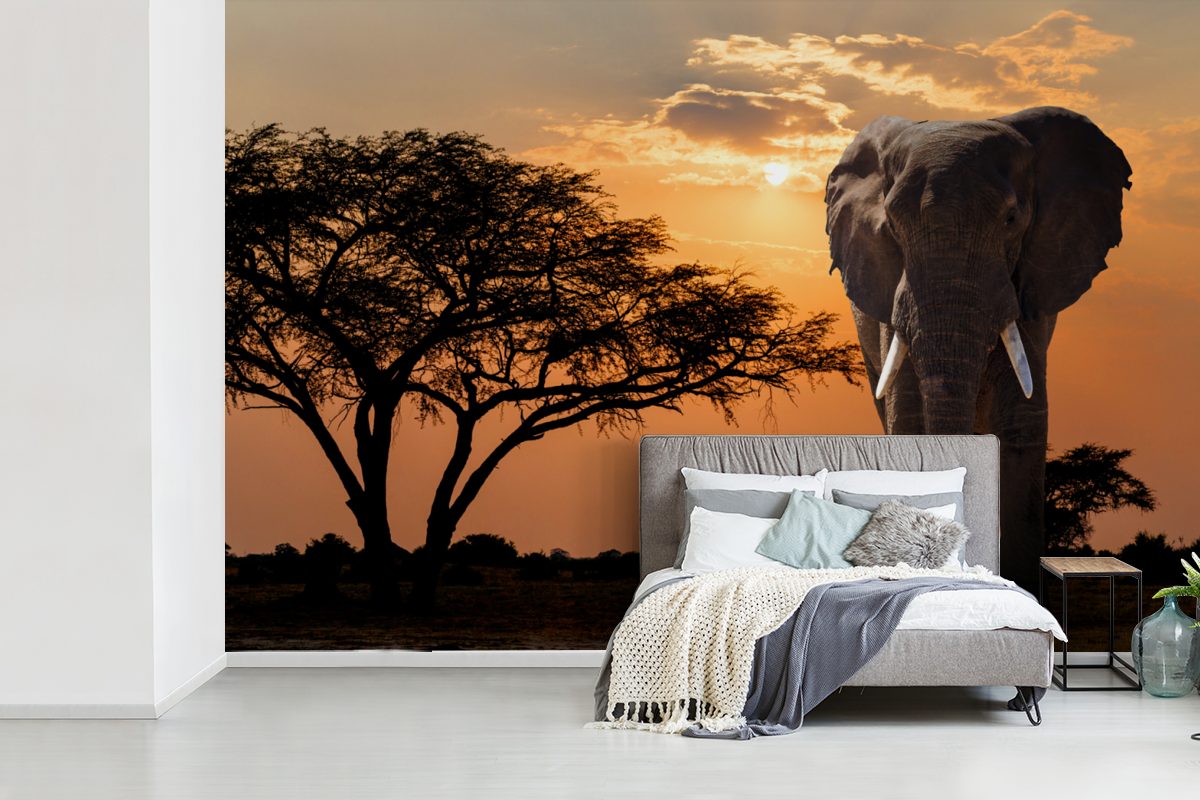 Kinderzimmer, - Afrika, Elefant Wallpaper Matt, für St), MuchoWow Baum Fototapete Schlafzimmer, Wohnzimmer, Tapete Vinyl bedruckt, (6 -