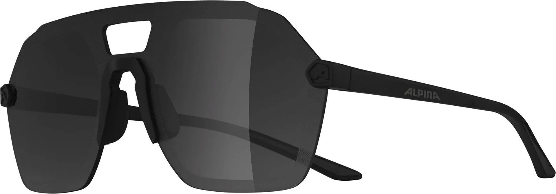 Sonnenbrille Alpina Sonnenbrille Beam I
