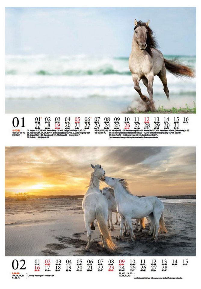 Thumbnail - Seelenzauber Tischkalender Pferdezauber - Pferde am Wasser DIN A5 Kalender für 2025 Pferde