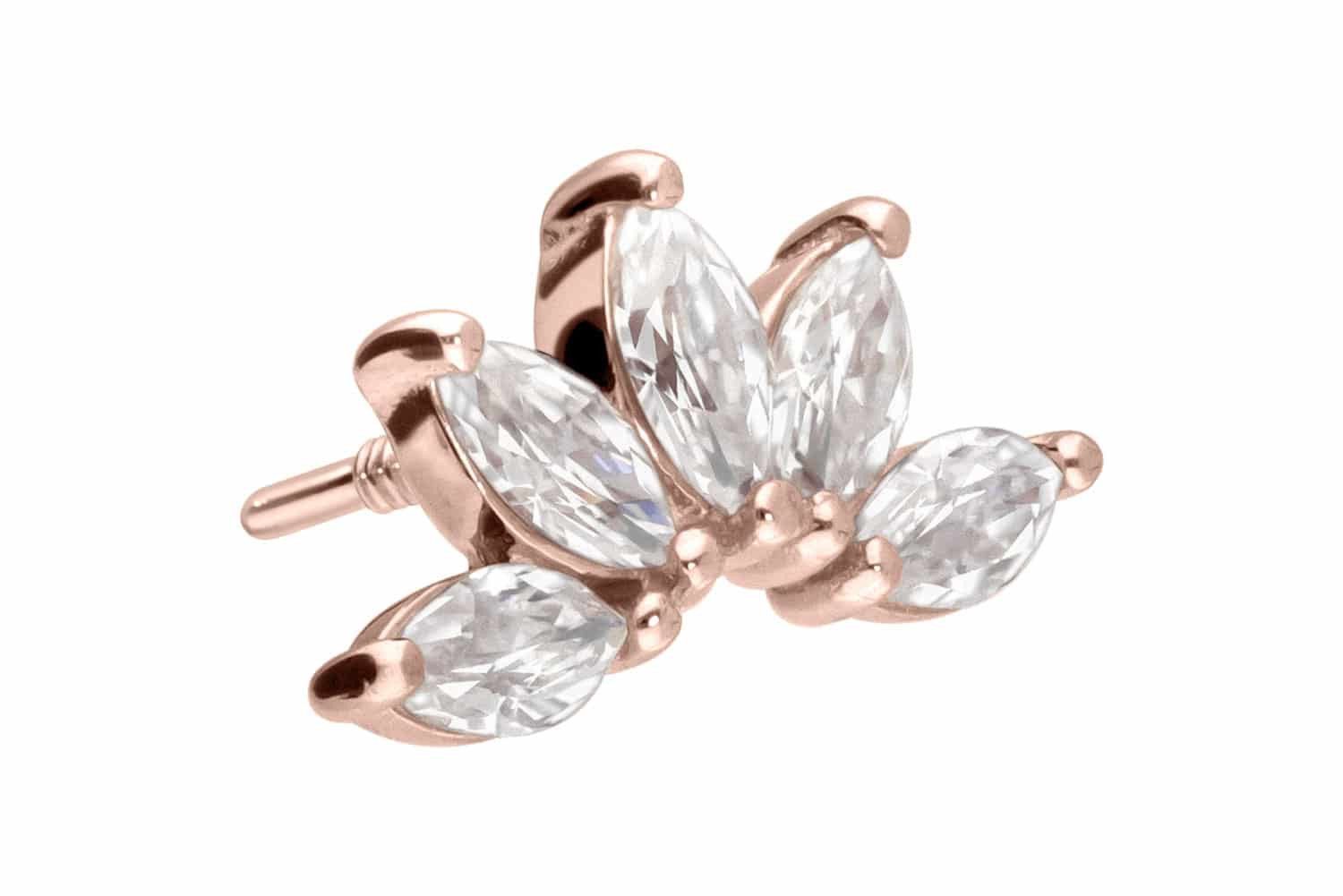 PIERCINGLINE Piercing-Set 14 Karat Gold Schraubaufsatz günstig online kaufen
