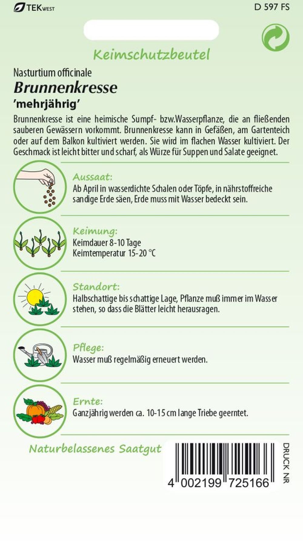 SAMEN PFANN Kräutersamen Brunnenkresse - Kräuter-Samen Gewürz Saatgut Samen, Nasturtium officinale
