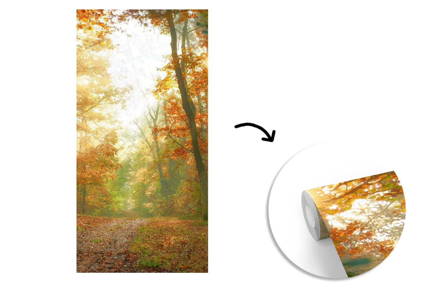 - MuchoWow Fototapete Landschaft Laub, - (2 für Wald Vliestapete Fototapete Herbst Küche, - - - Wohnzimmer Bäume Schlafzimmer Sonne bedruckt, Matt, Natur - St),