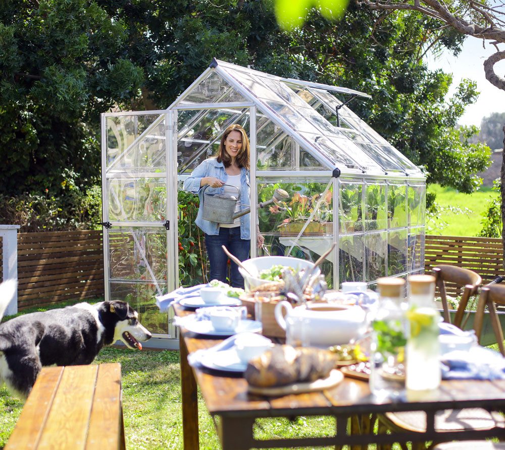 Palram - Canopia Gewächshaus, x 208  | ...