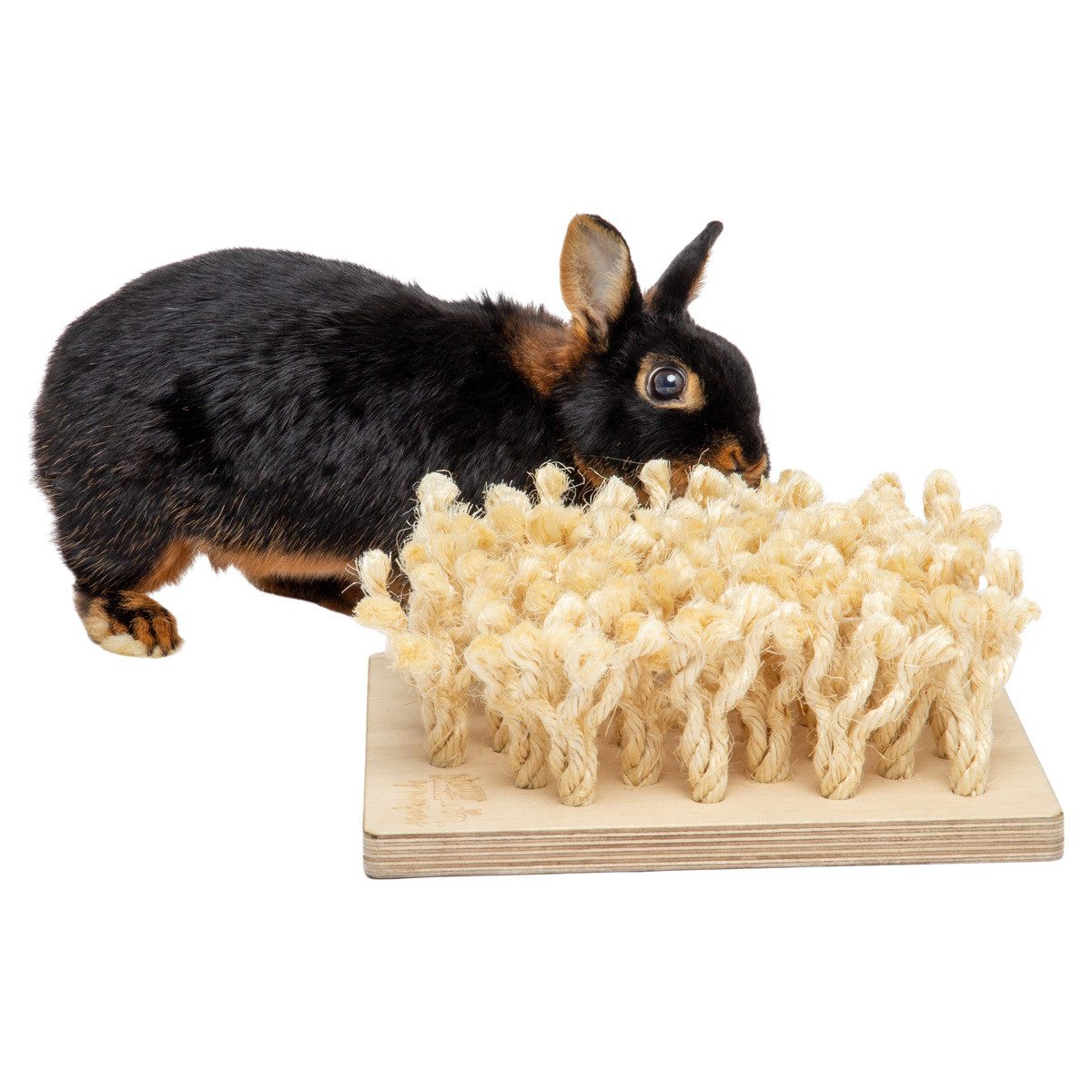 Bunny Nature Tier-Beschäftigungsspielzeug by puppijames Schnüffelbrett