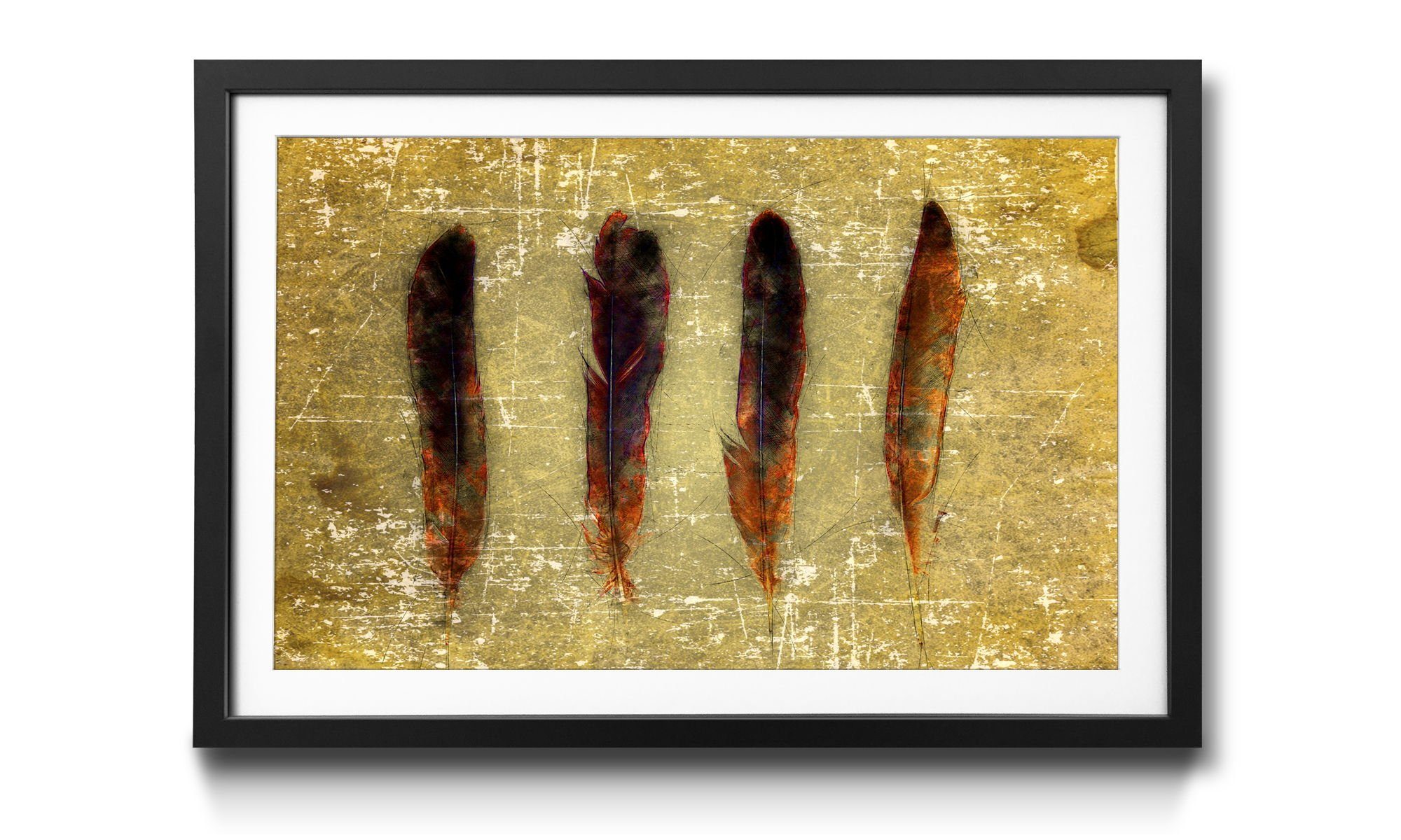 WandbilderXXL Bild mit Rahmen Four Feathers, Vogelfedern, Wandbild, in 4 Größen erhältlich