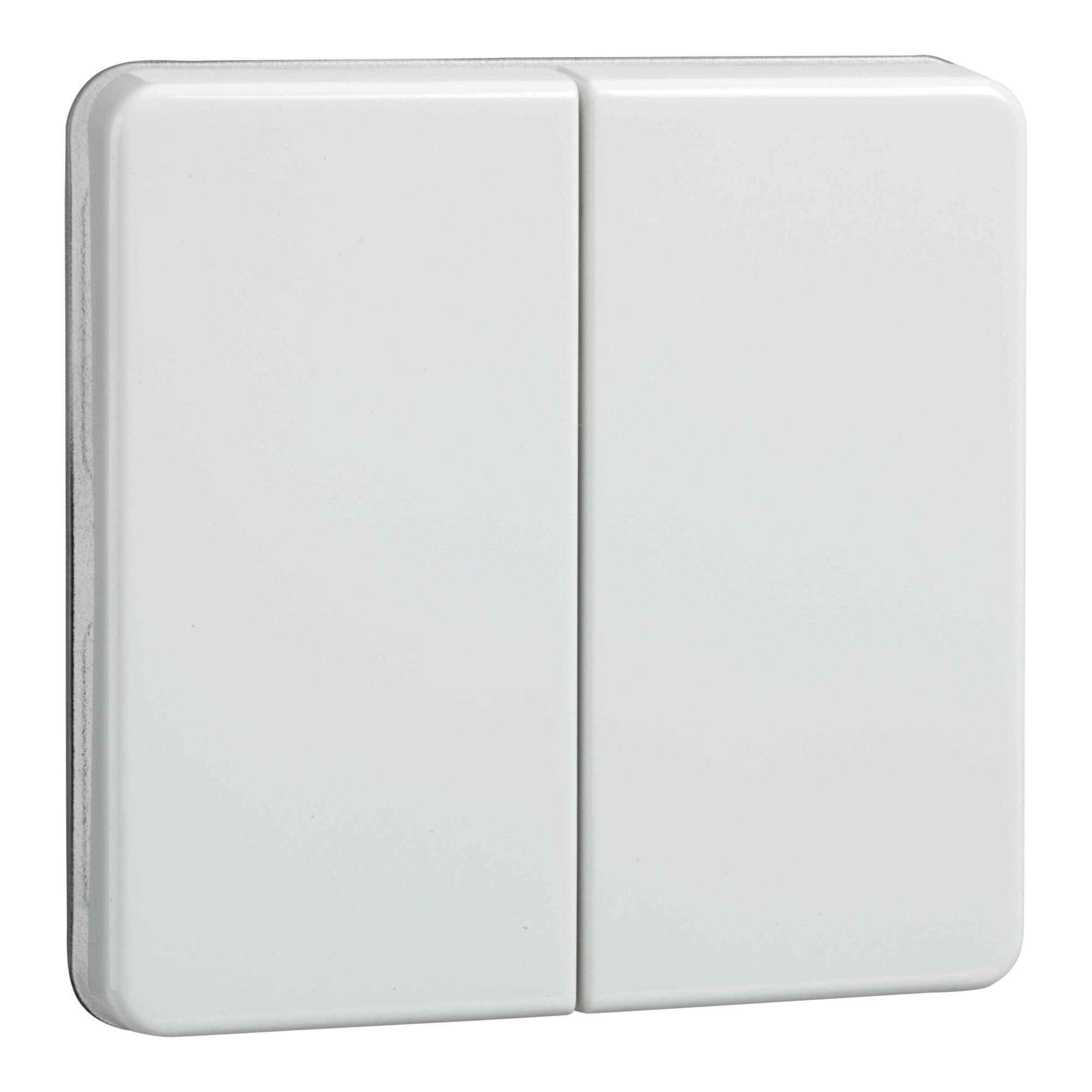 ELSO Elso Wippe rw Serie u.Doppeltaster 233504 Wandtaster