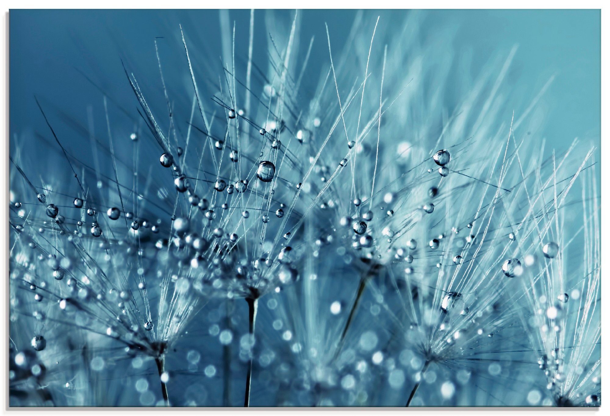 Artland Glasbild Blaue glitzernde Pusteblume, Blumen (1 St), in verschiedenen Größen