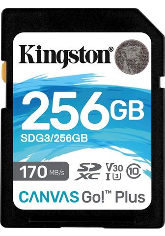  Kingston Canvas Go Plus SD 256GB Speic...