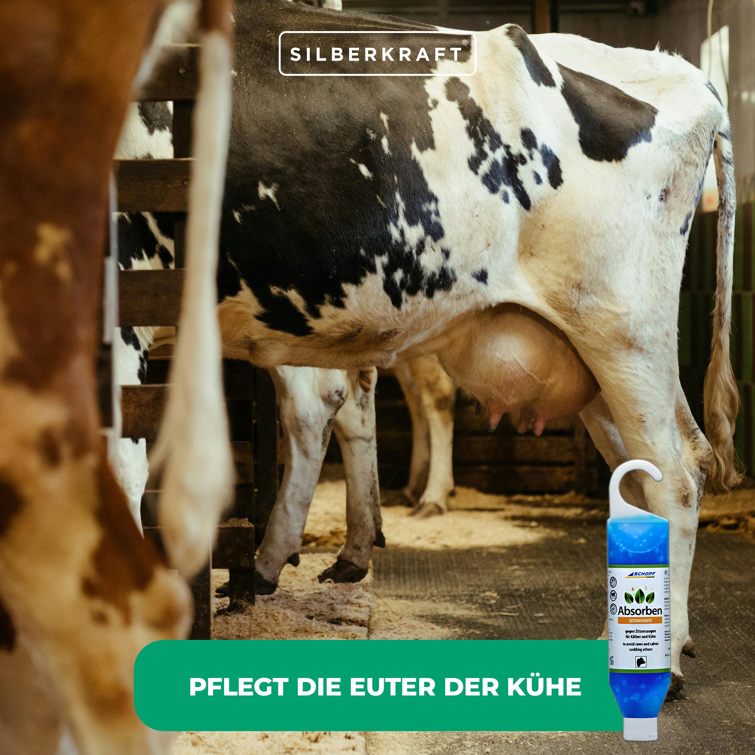 Schopf Körperbalsam Absorben: Euterpflege-Gel gegen Zitzensaugen für Kälber und Kühe, Hilft, Kälbern und Kühen das unerwünschte Saugverhalten abzugewöhnen