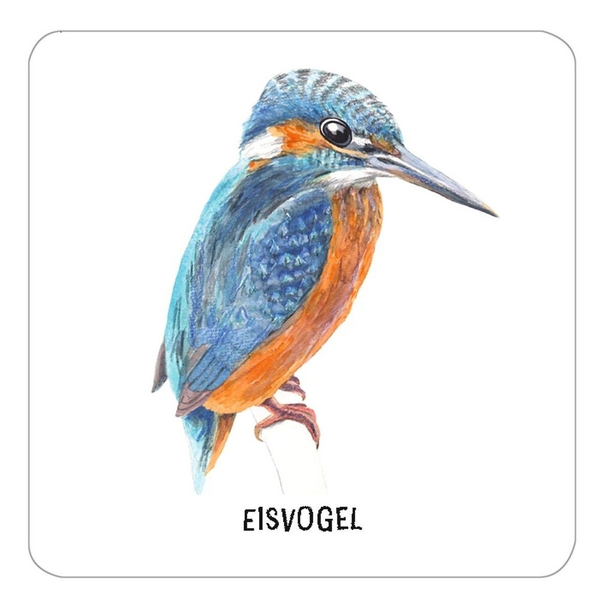 Moses. Verlag Spiel Expedition Natur - Das große Vogel Memo 60 Karten mit Wissensheft