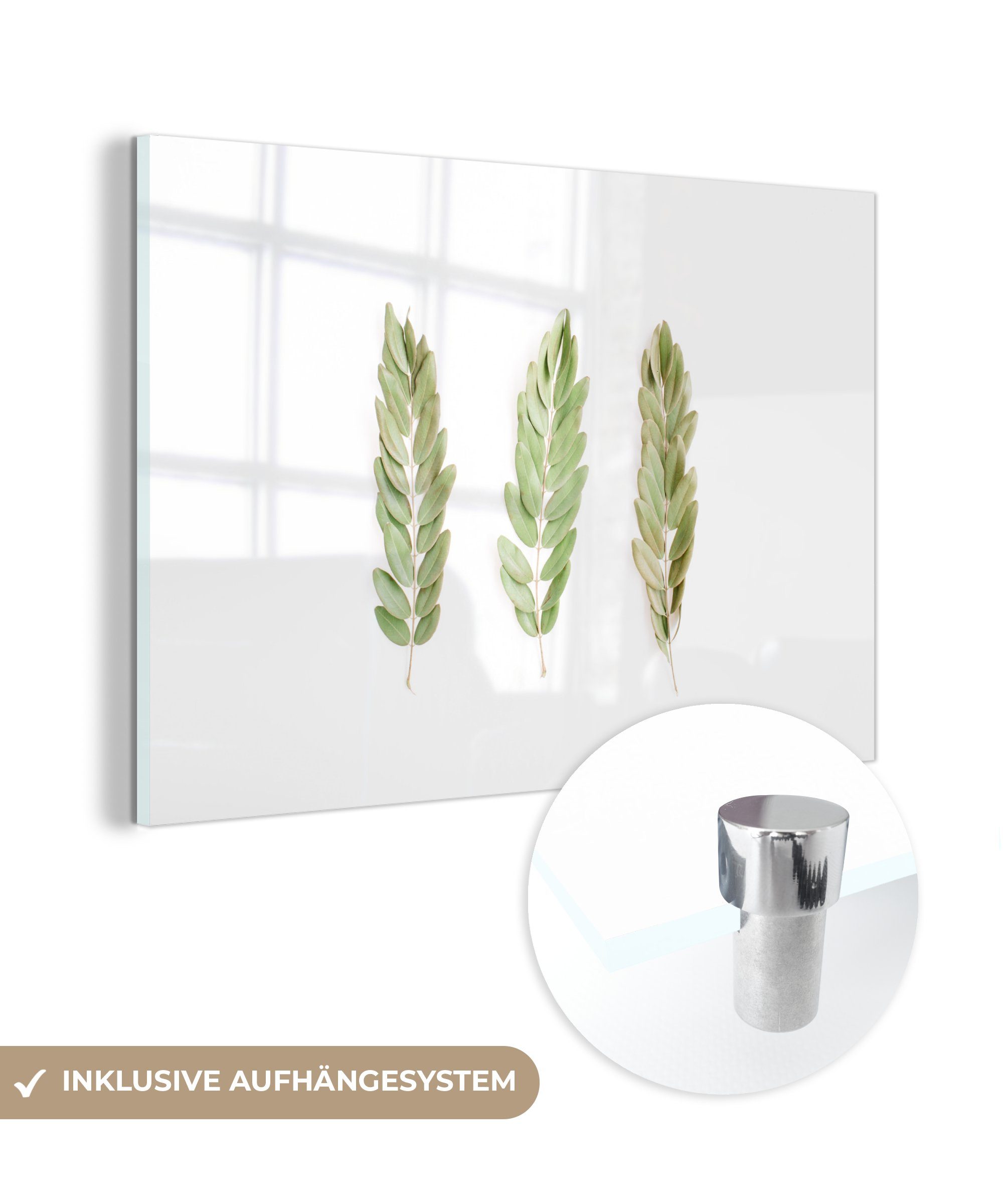 MuchoWow Acrylglasbild Tropisch - Blatt - Weiß, (1 St), Acrylglasbilder Wohnzimmer & Schlafzimmer