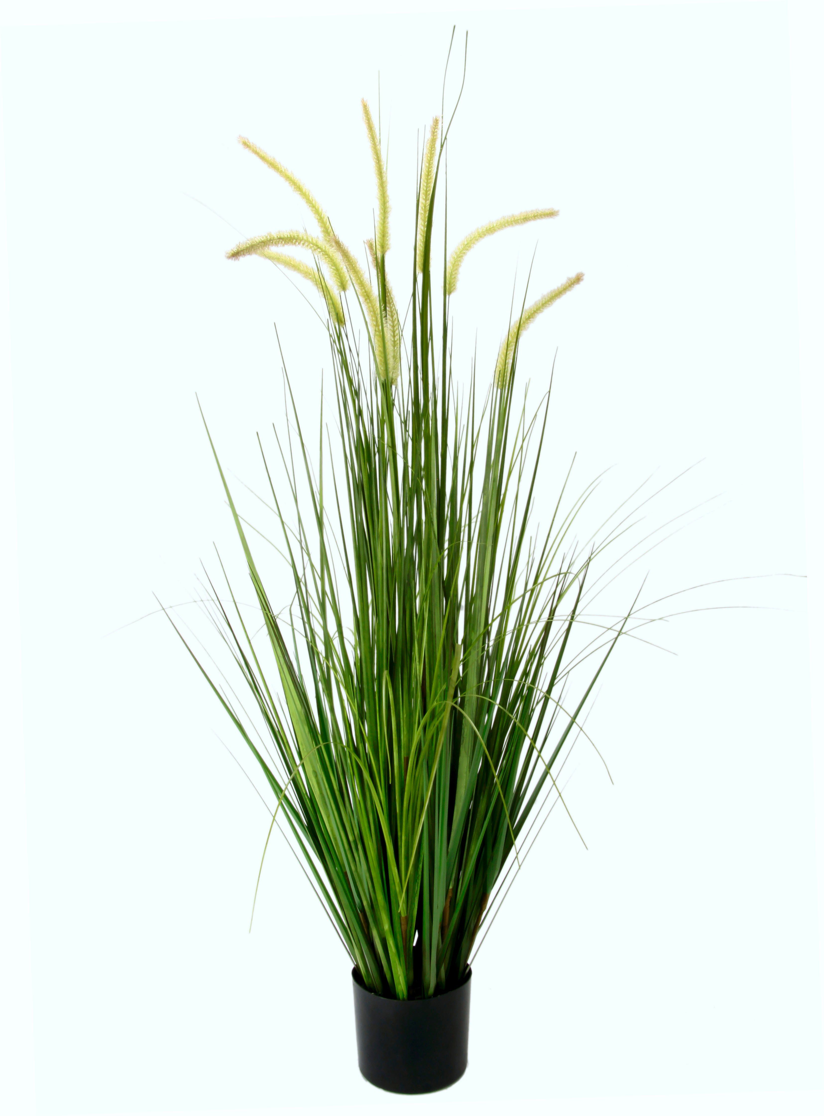 Kunstgras Fuchsschwanzgras, I.GE.A., Höhe 120 cm, günstig online kaufen