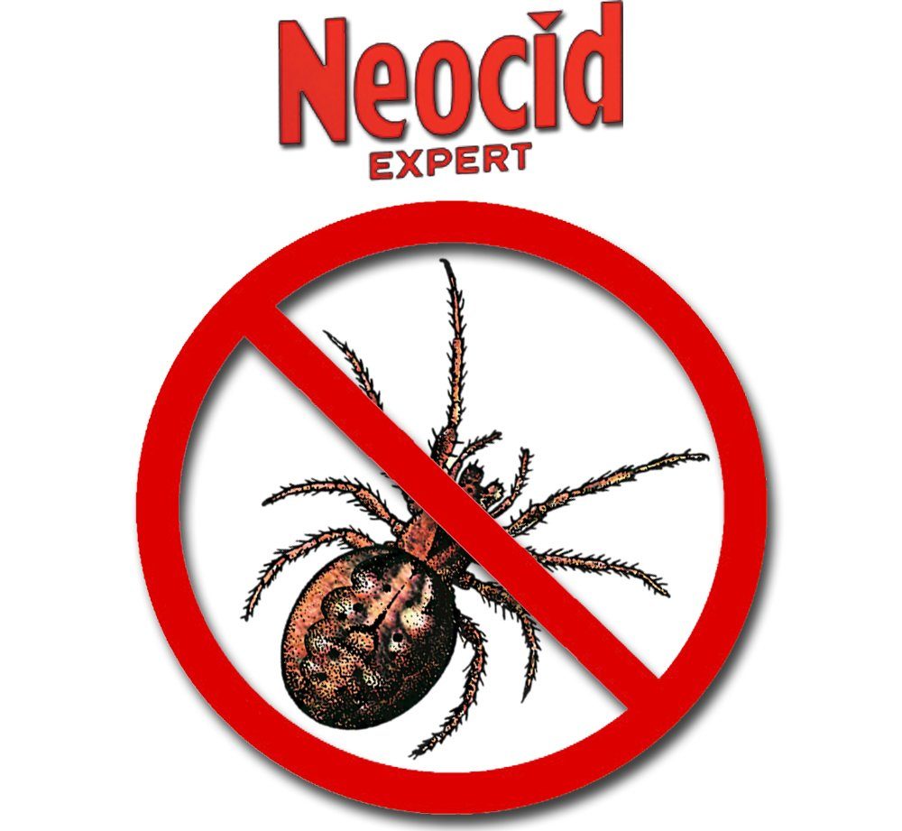 Effekt Expert Knock-down 1.6 NEOCID Hochwirksam unmittelbarer Spinnen-Spray Spinnen, Insektenspray gegen l,