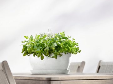 ECOPOTS Blumentopf Sofia lang 56 Weiß, für innen und außen: frostsicher, bruchsicher und lichtbeständig