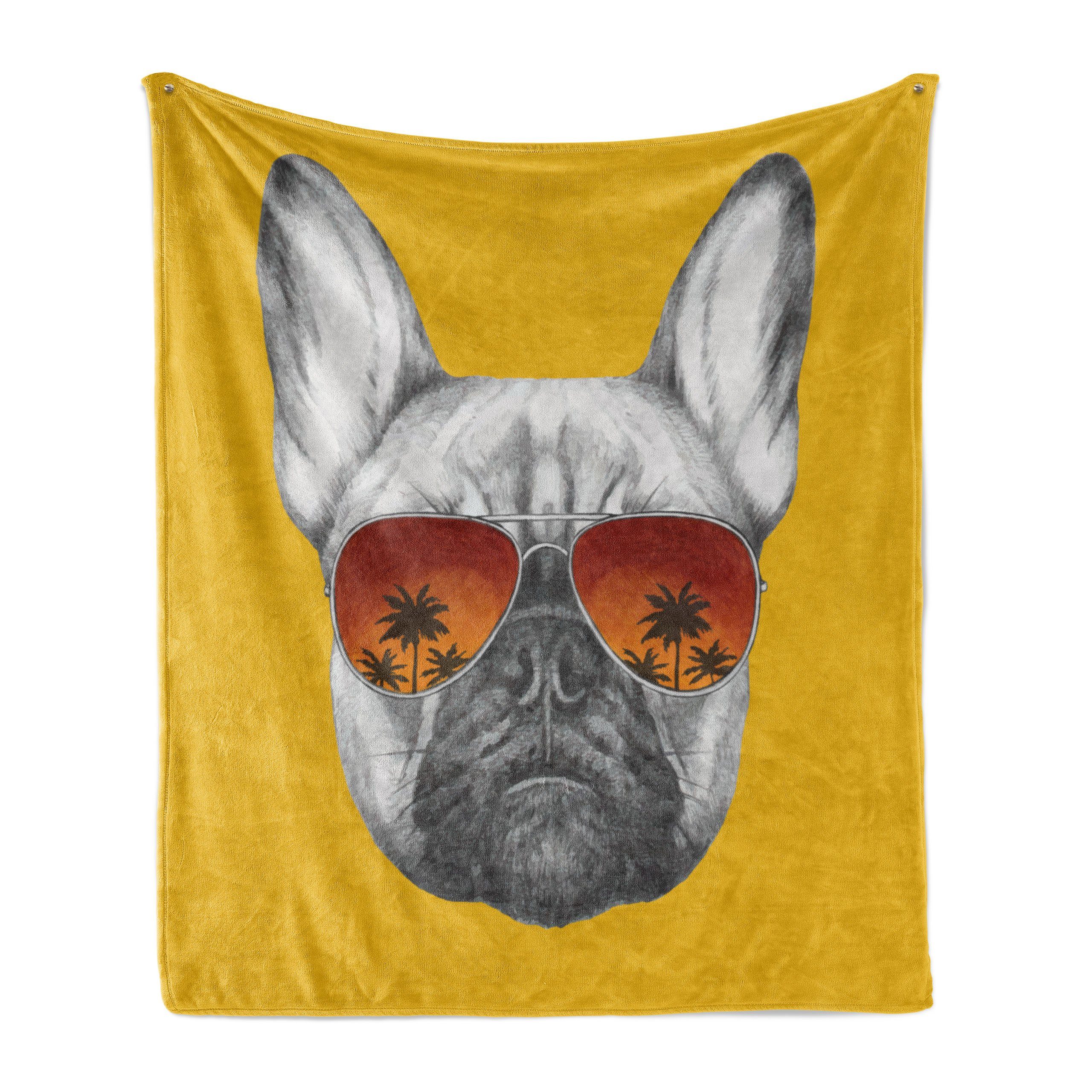 Plüsch Gemütlicher Funny Wohndecke in Bulldogge den für Innen- Pet Sonnenbrillen Abakuhaus, Außenbereich, und