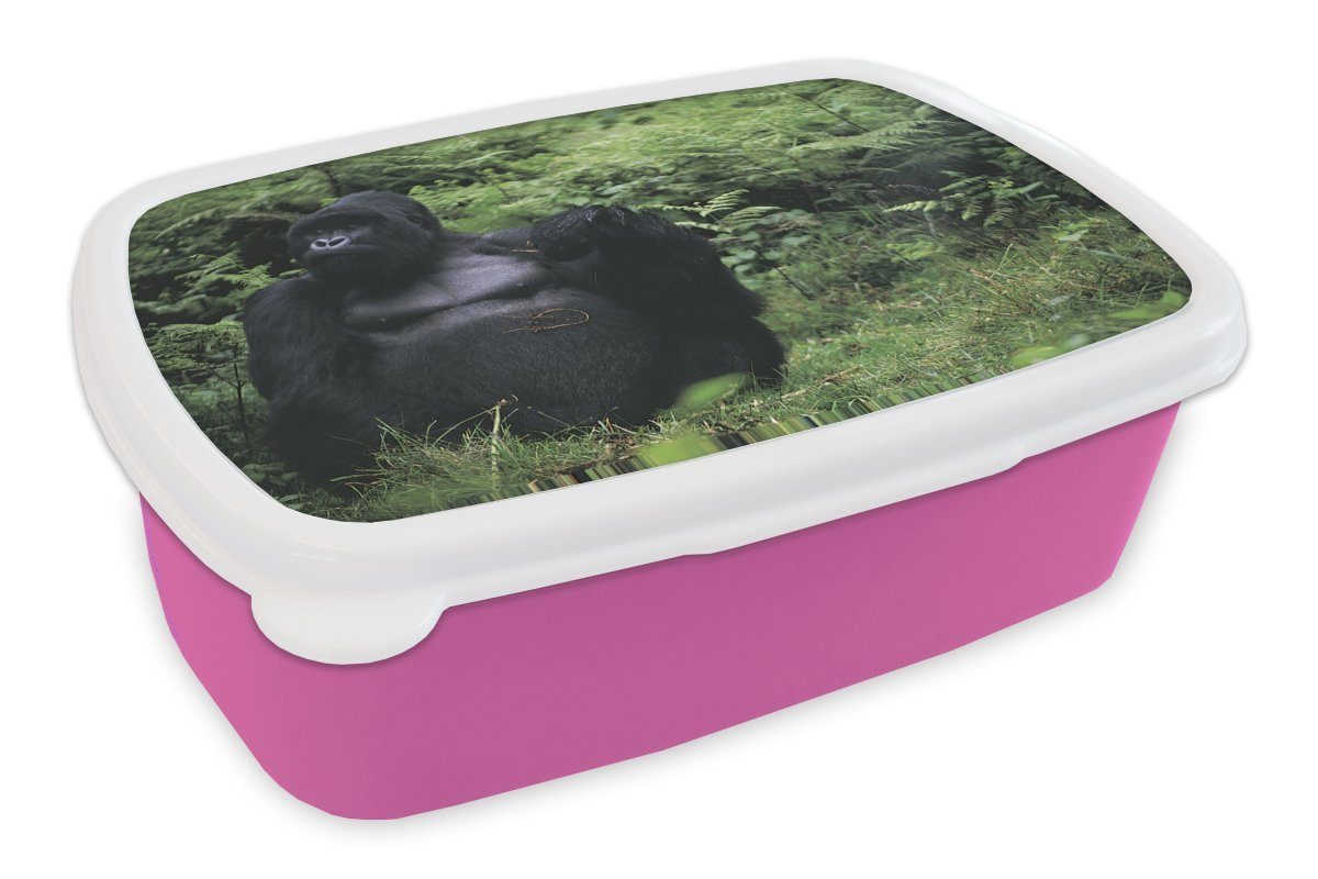 MuchoWow Lunchbox (2-tlg), in Gorilla Regenwald, rosa Kinder, für einem grünen Erwachsene, Mädchen, Kunststoff Kunststoff, Brotdose Snackbox, Brotbox riesiger Ein