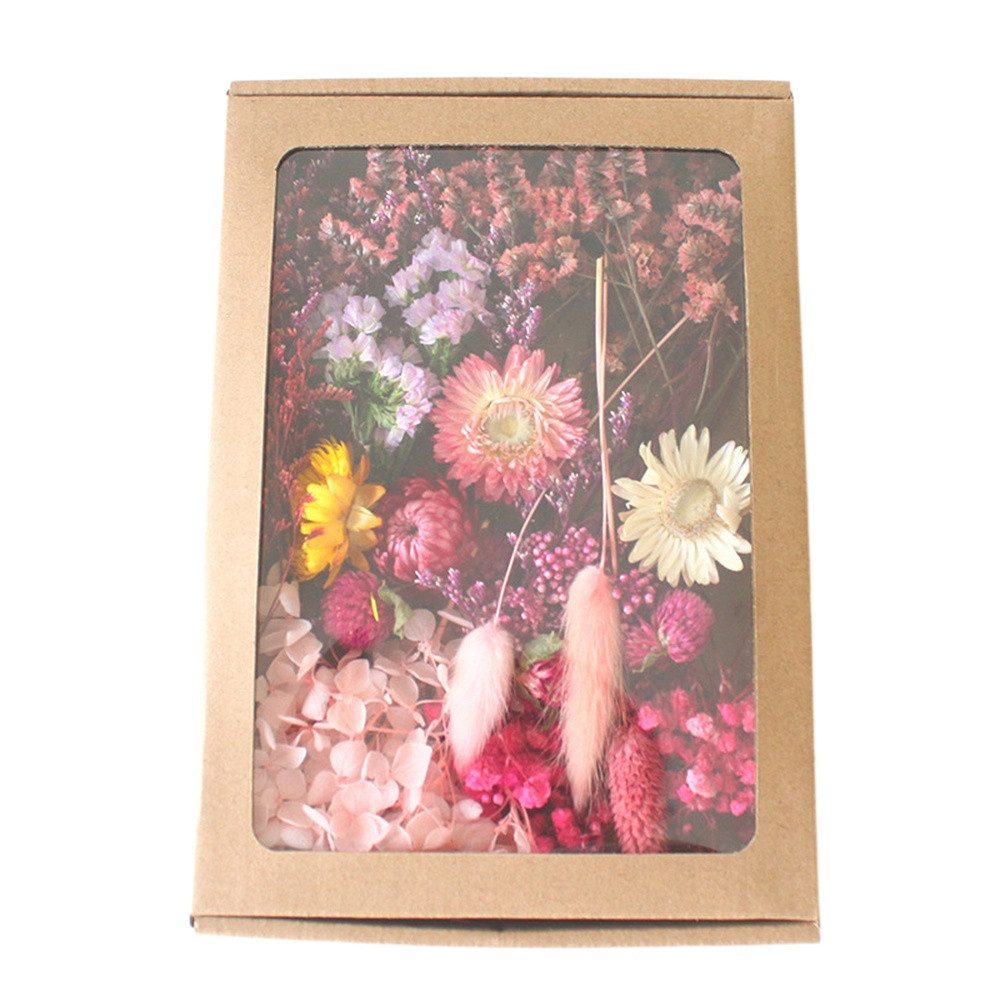 Trockenblume Klein Trockenblumen Deko Trockenblumen mit Papierbox Getrocknete Blumen, Trockenblumen zum Basteln, Agger, für Heimwerken Harz Scrapbooking Karten Heimdekoration