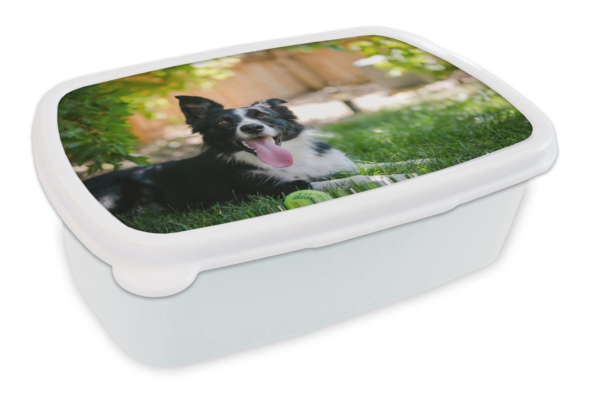 Jungs Hund für Brotbox Kunststoff, Brotdose, und weiß Mädchen Kinder für - Tiere, (2-tlg), MuchoWow Lunchbox - Gras und Erwachsene,