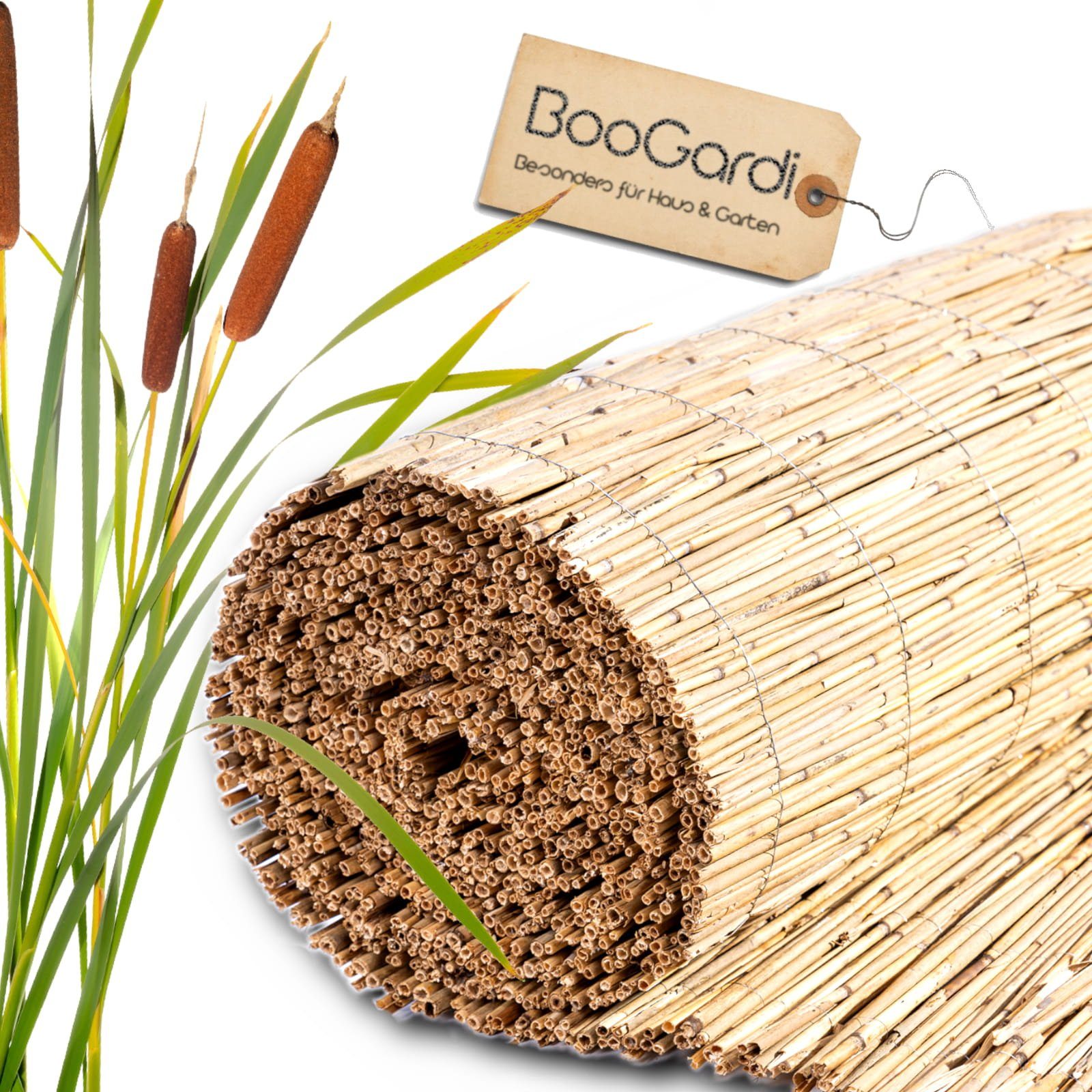 BooGardi Sichtschutzzaunmatten Schilfrohrmatte natur, (1-St., Sichtschutzma günstig online kaufen