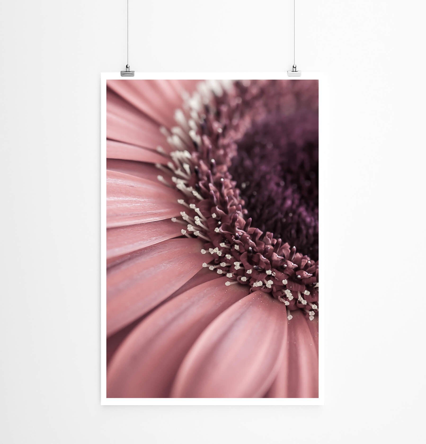 Sinus Art Poster Blume in Altrosa 60x90cm Poster