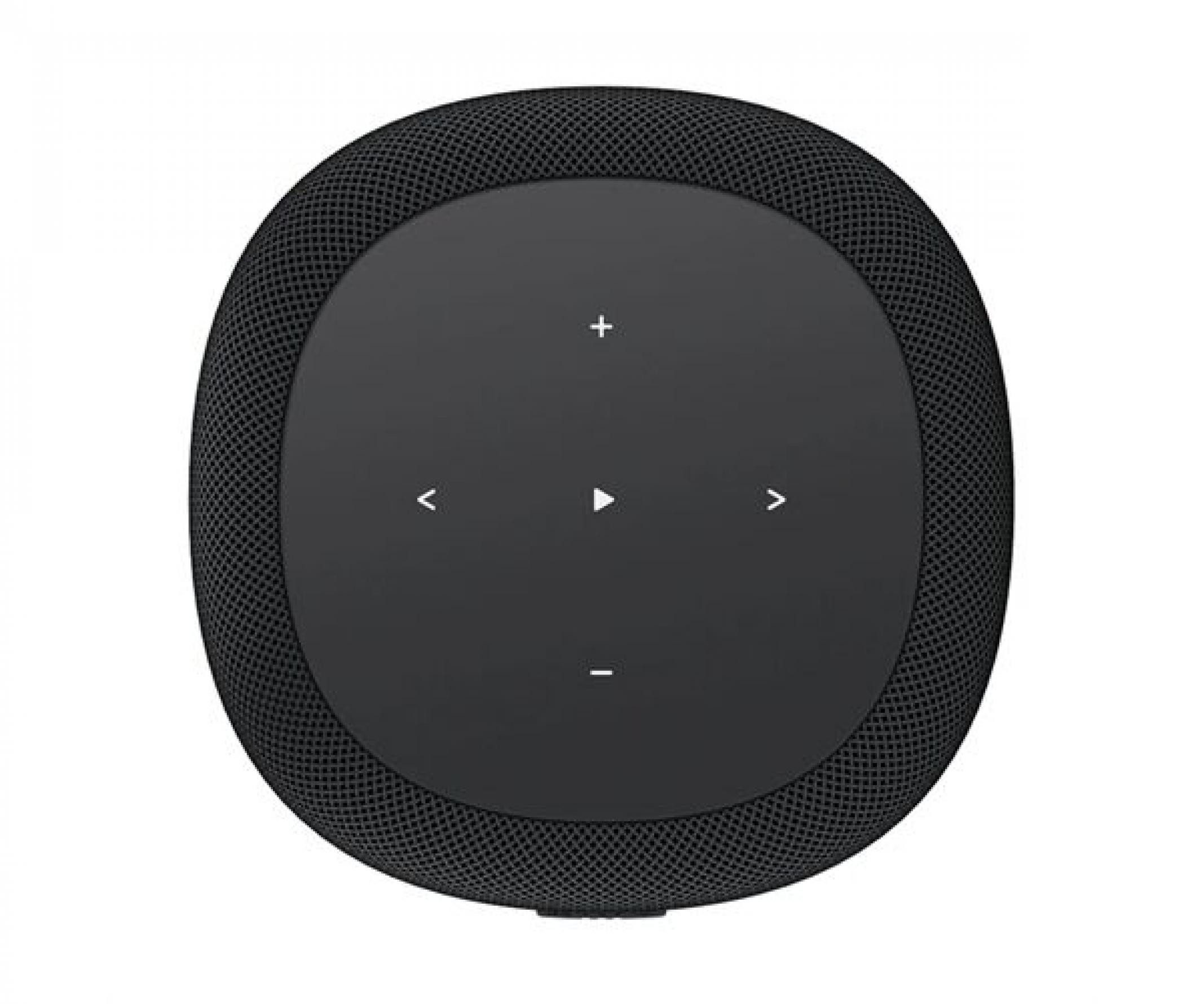 WiiM Sound Lite Twin Pack schwarz Multiroom-Lautsprecher