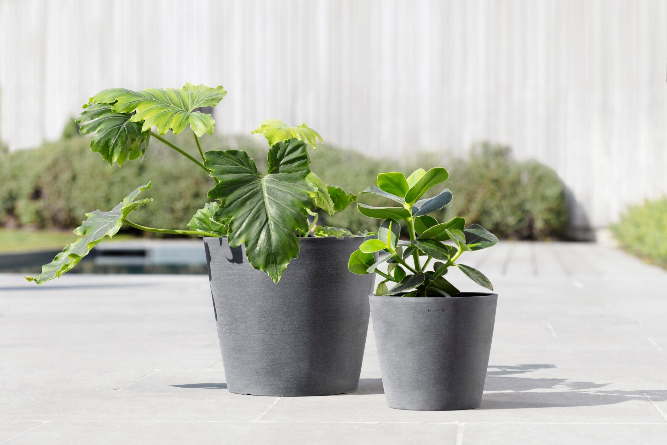 ECOPOTS Blumentopf AMSTERDAM Grey, BxTxH: 30x30x26 günstig online kaufen