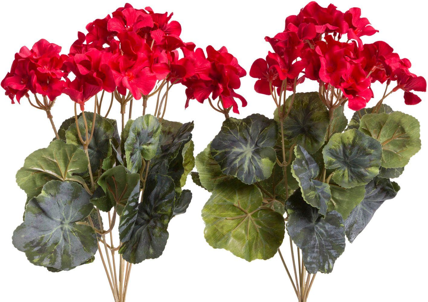 Kunstblume Geranienbusch Geranie, Botanic-Haus, Höhe 37 günstig online kaufen