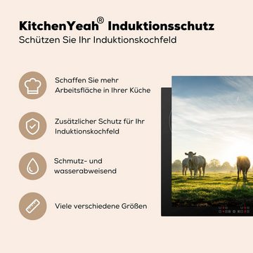 MuchoWow Herdblende-/Abdeckplatte Kühe - Sonne - Gras, Vinyl, (1 tlg), 81x52 cm, Induktionskochfeld Schutz für die küche, Ceranfeldabdeckung