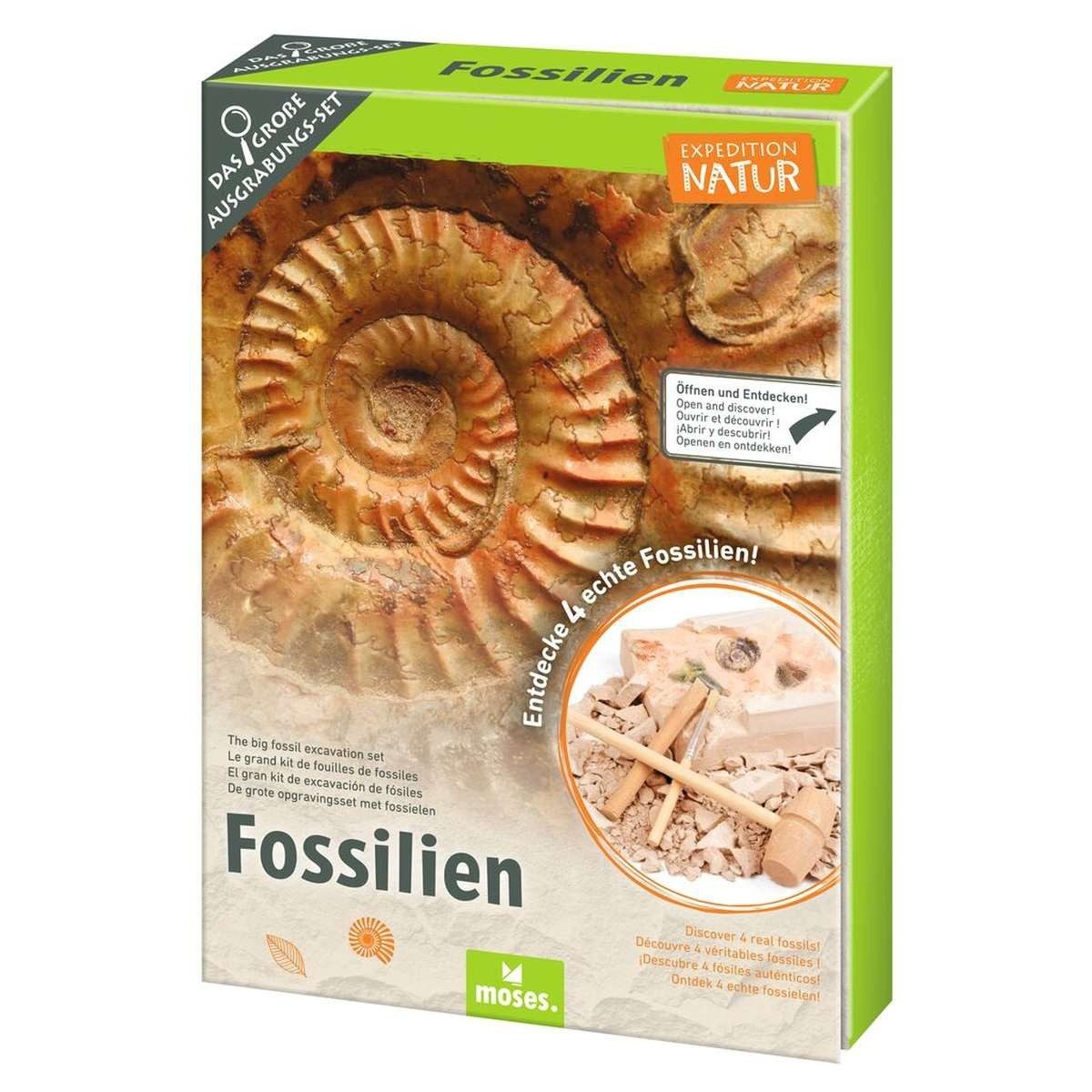 Moses. Verlag Experimentierkasten Fossilien-Ausgrabungs-Set von moses. mit Werkzeug, Lupe & Booklet, (Fünf-tlg)