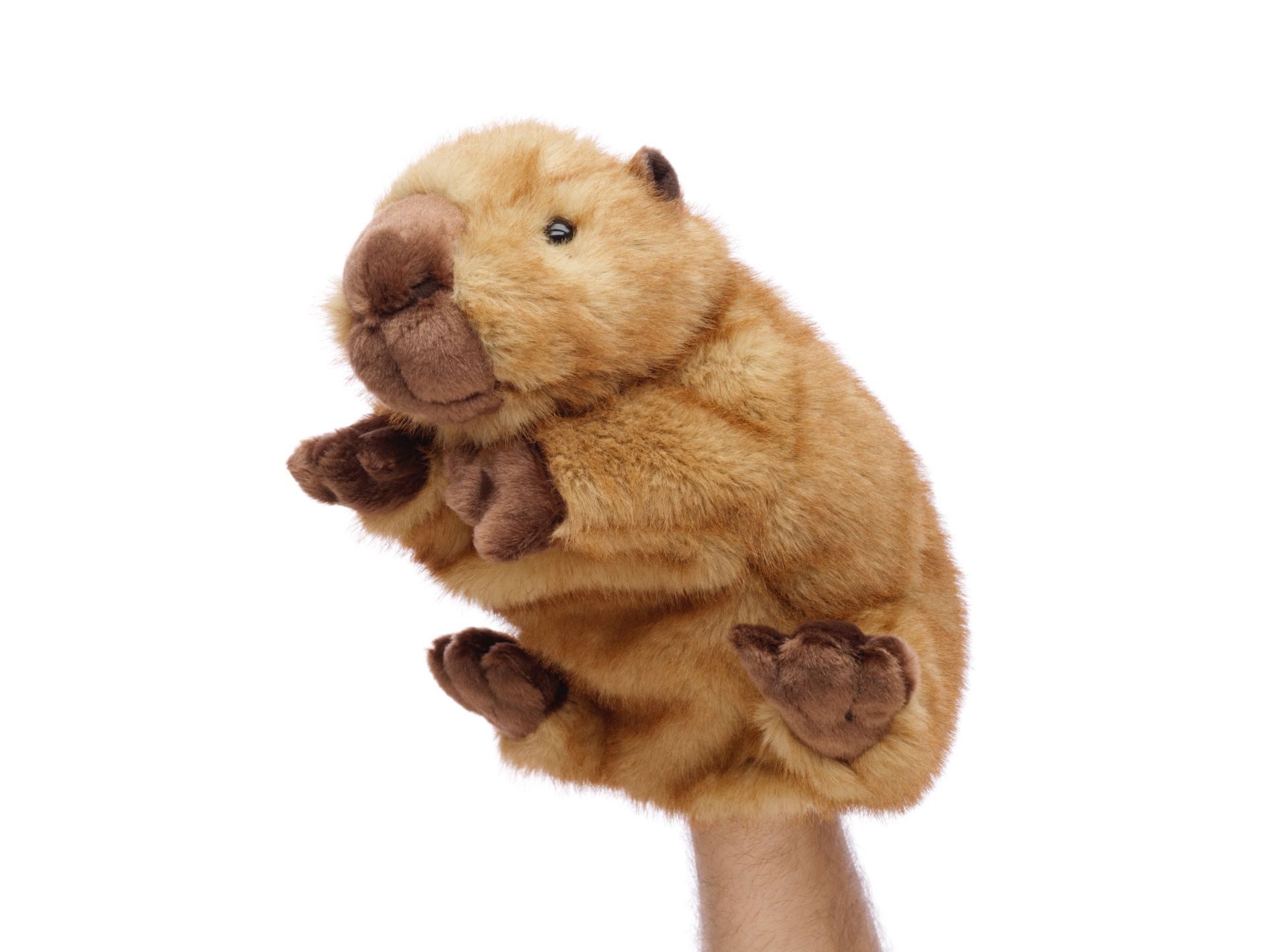 Teddys Rothenburg Kuscheltier Kuscheltier Handpuppe Pinguin 23 cm weiß/grau Plüschpinguin