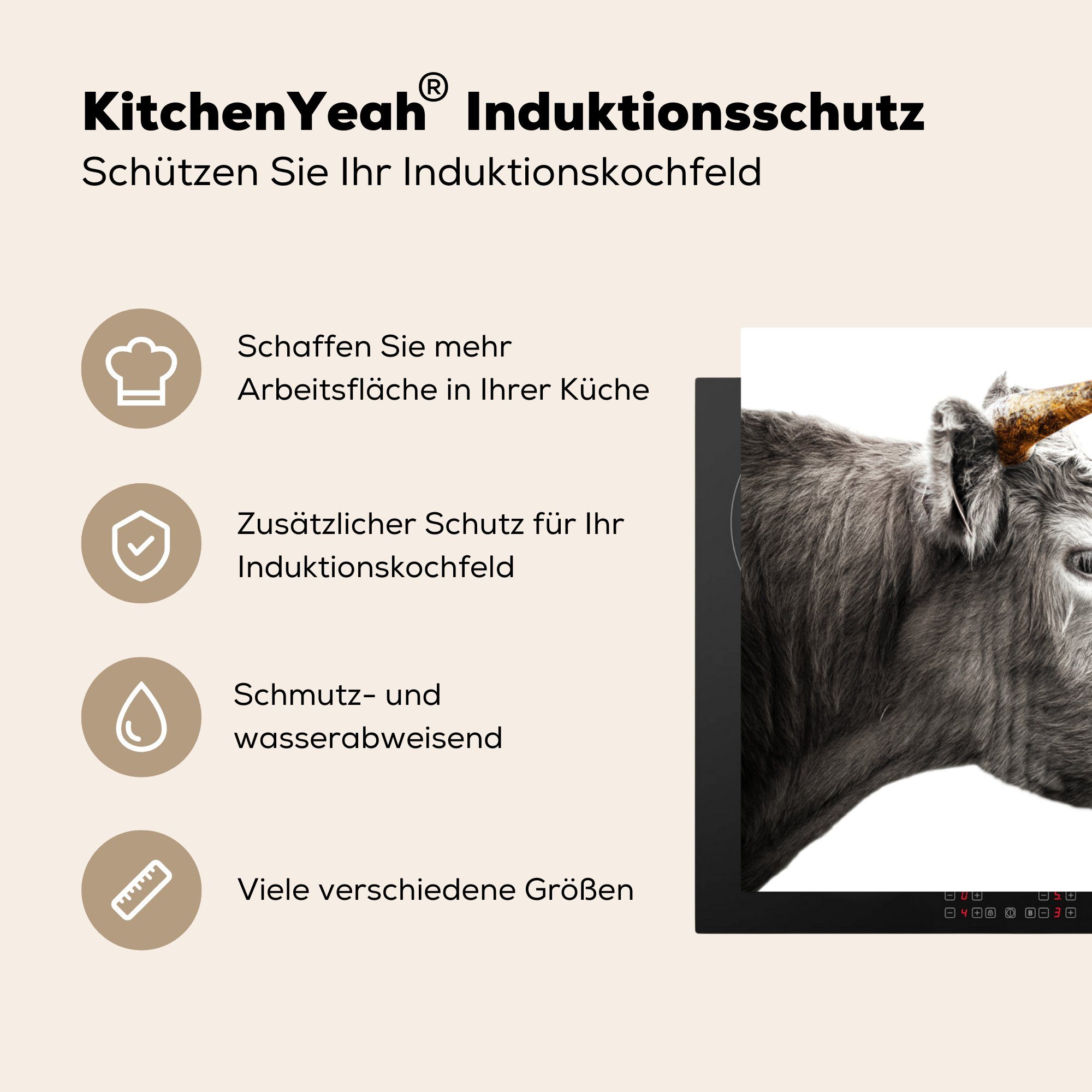 MuchoWow Herdblende-/Abdeckplatte Schottischer Highlander 71x52 cm, Induktionskochfeld Schutz die - Vinyl, Ceranfeldabdeckung küche, Horn (1 - tlg), Gold, für